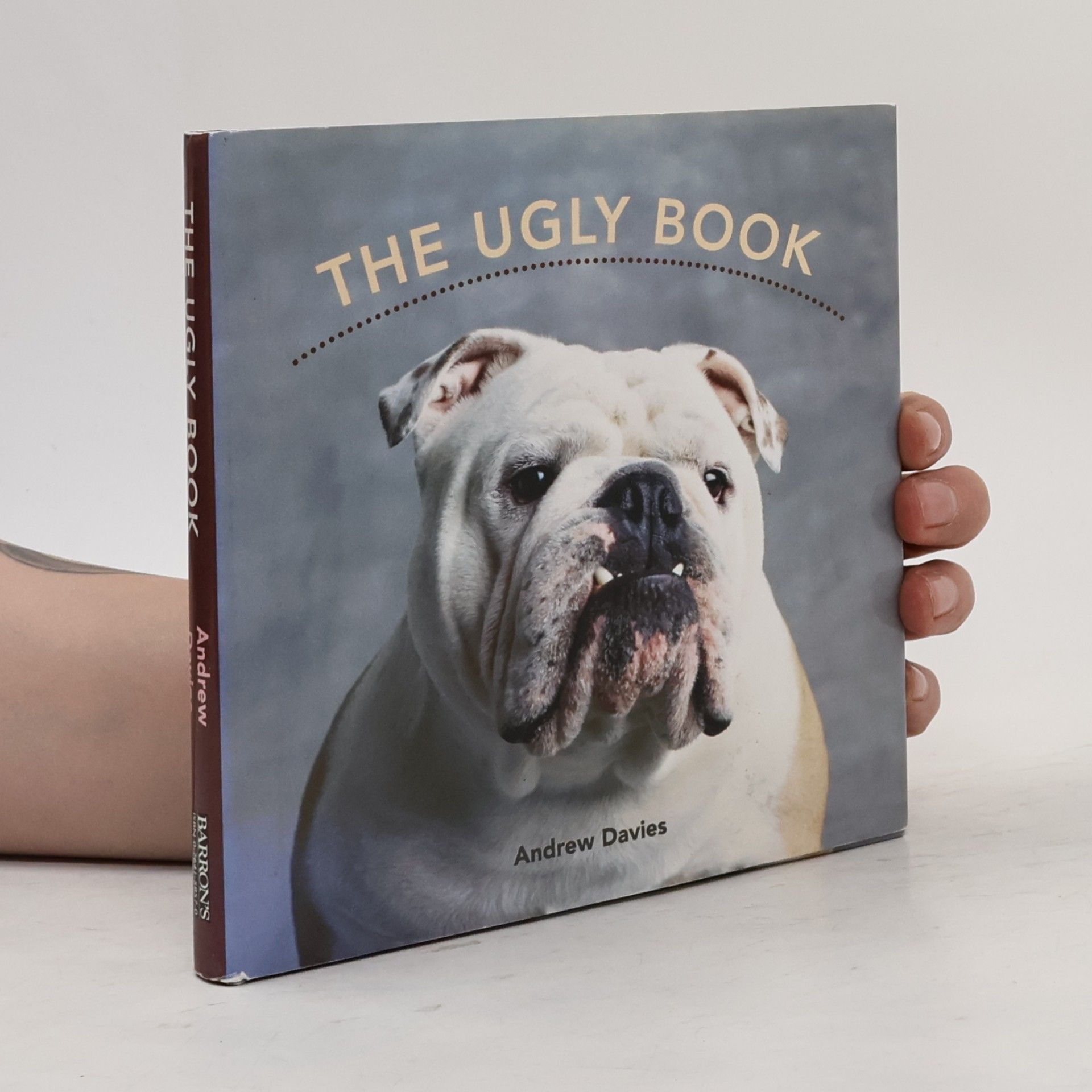 The Ugly Book