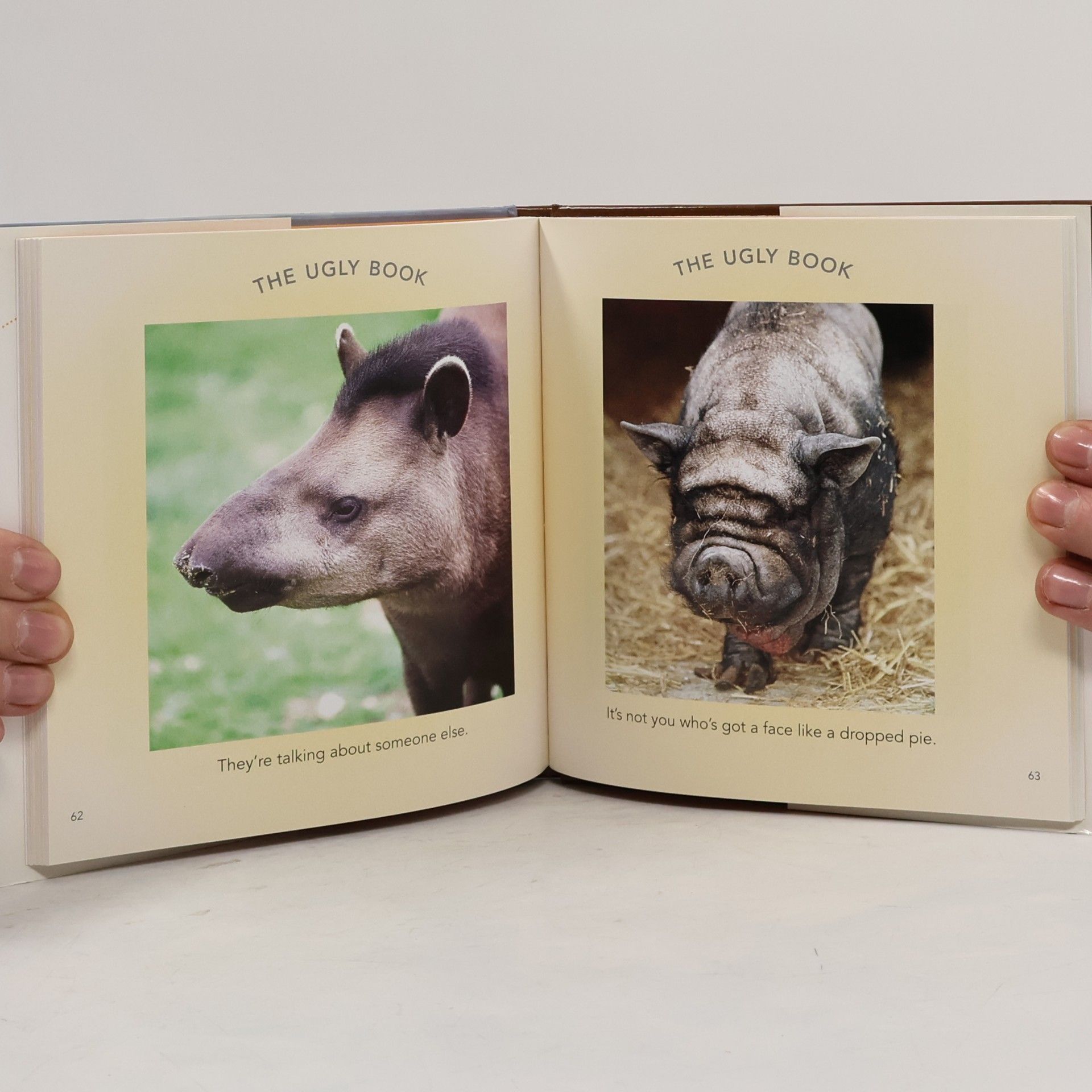 Andrew Davies The Ugly Book