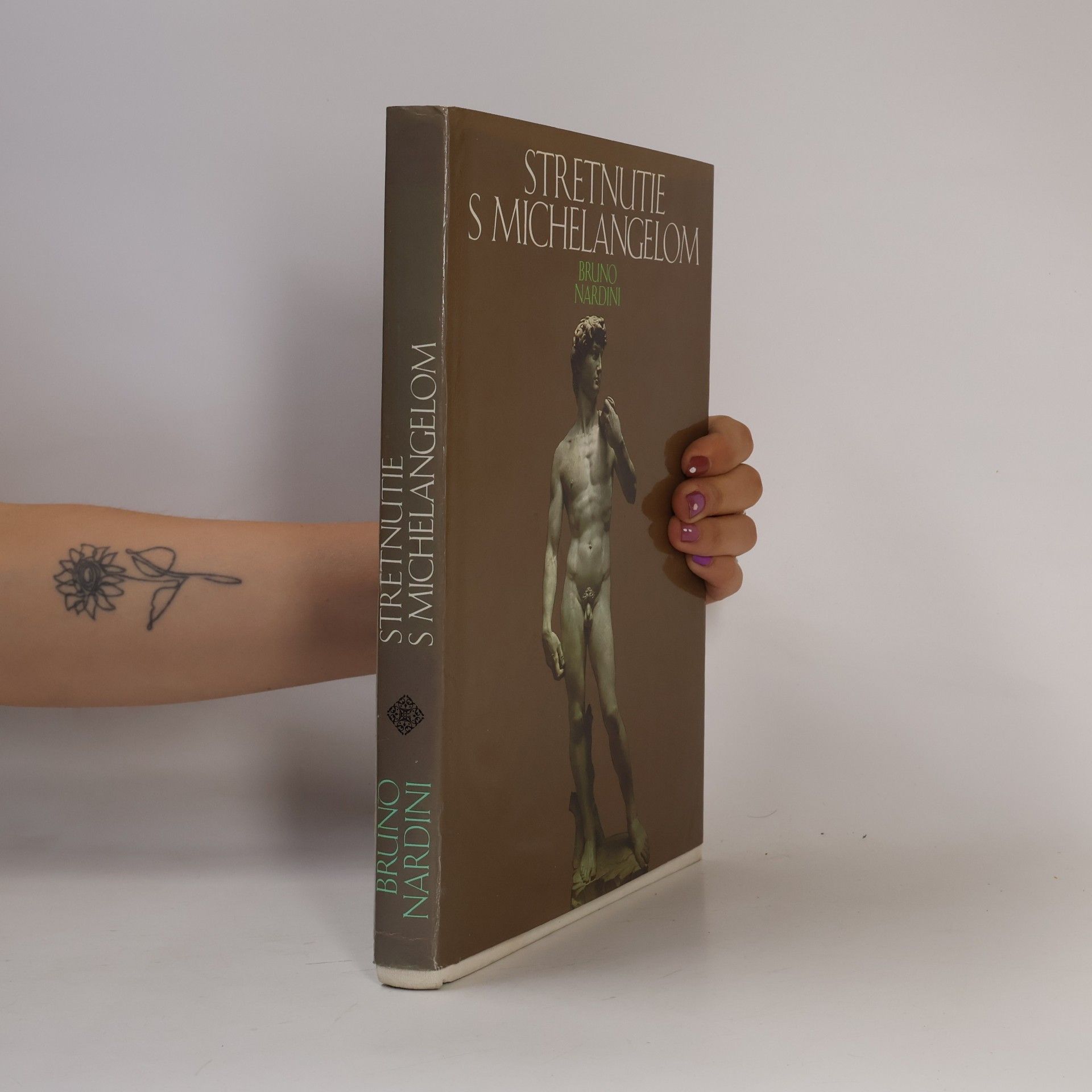 Bruno Nardini Stretnutie s Michelangelom