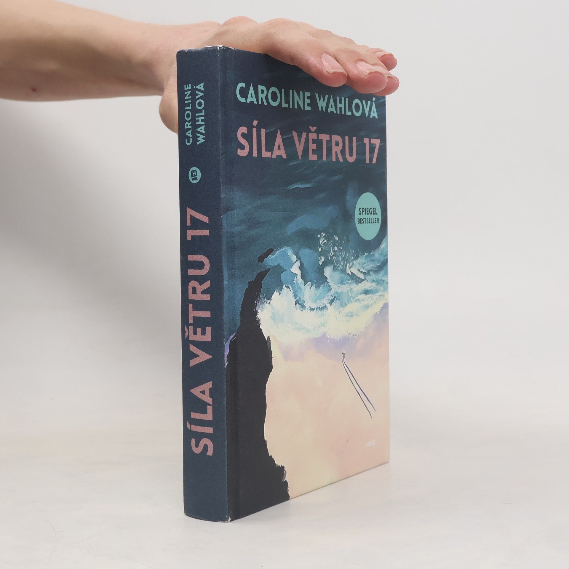 Caroline Wahl Síla větru 17