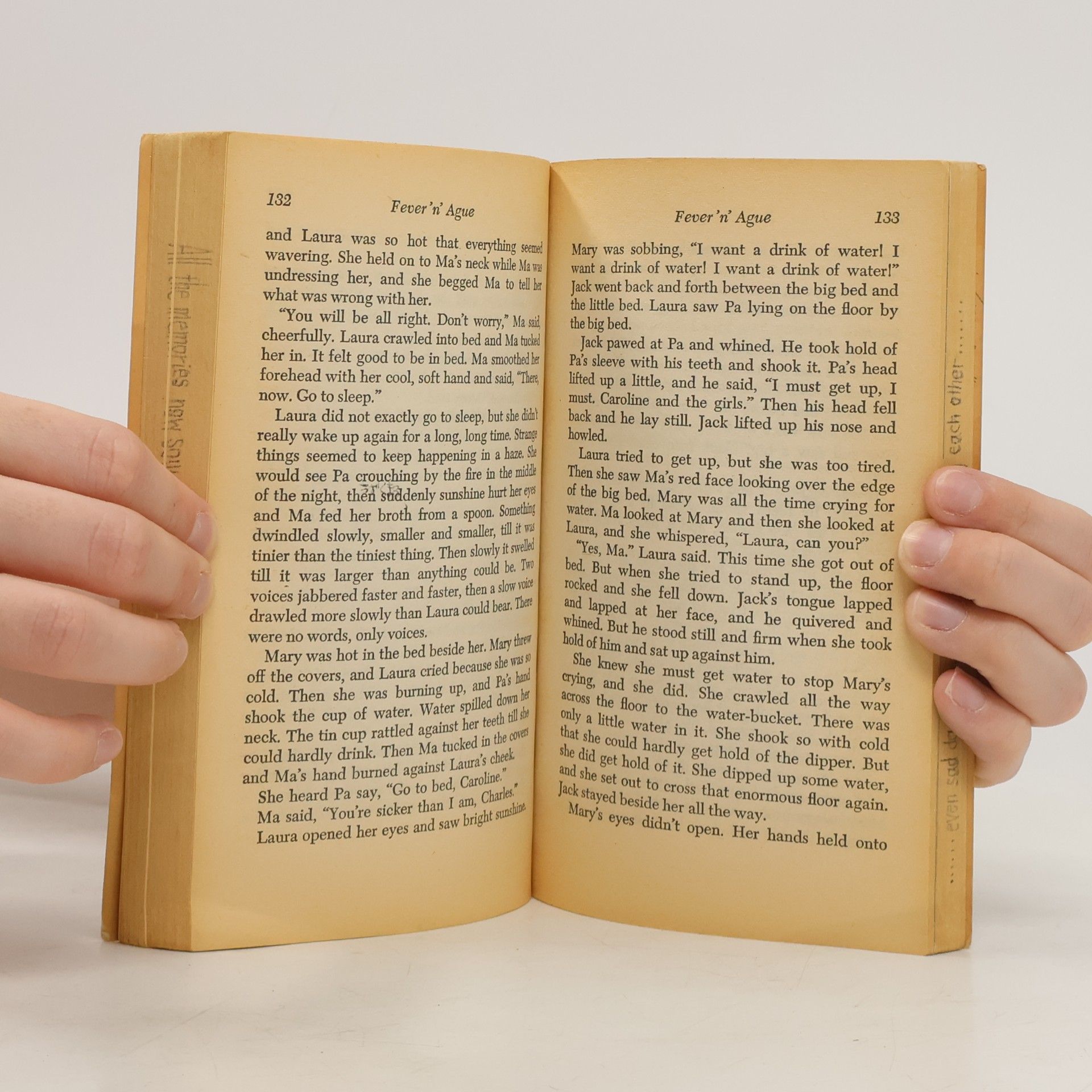 Laura Ingalls Wilder Little House on the Prairie
