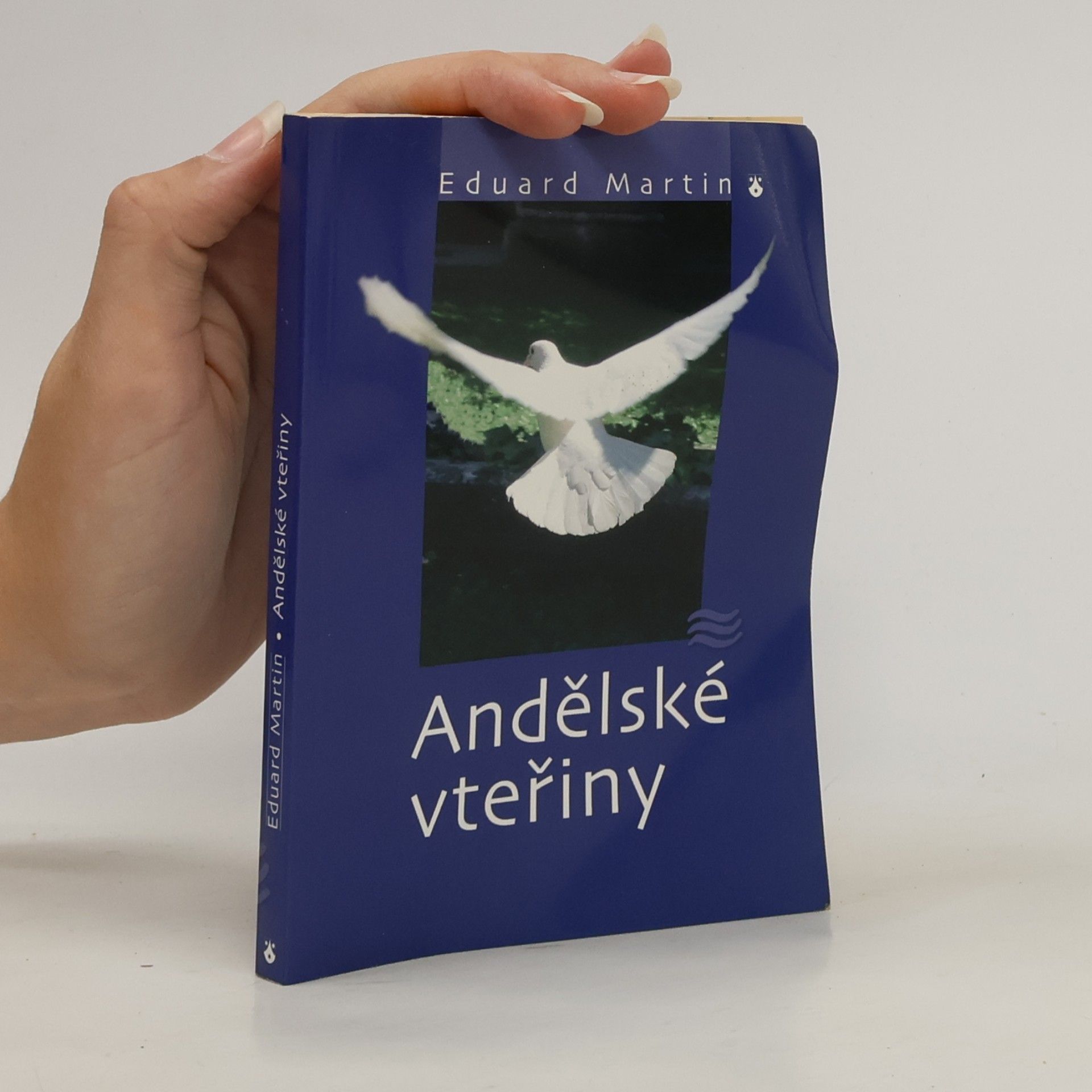 Martin Petiška Andělské vteřiny