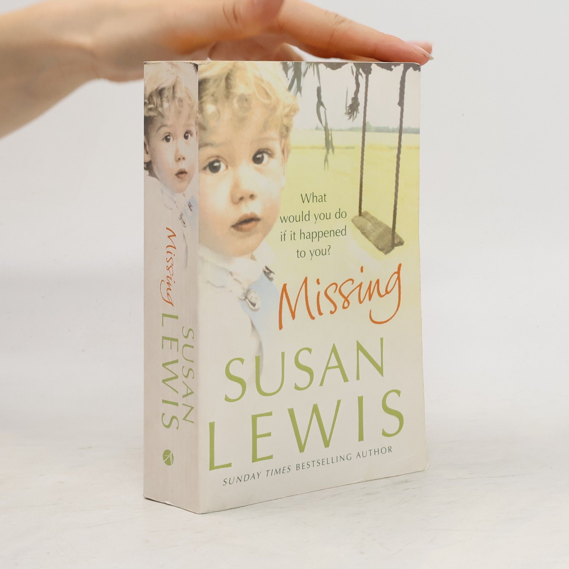 Susan Lewis Missing