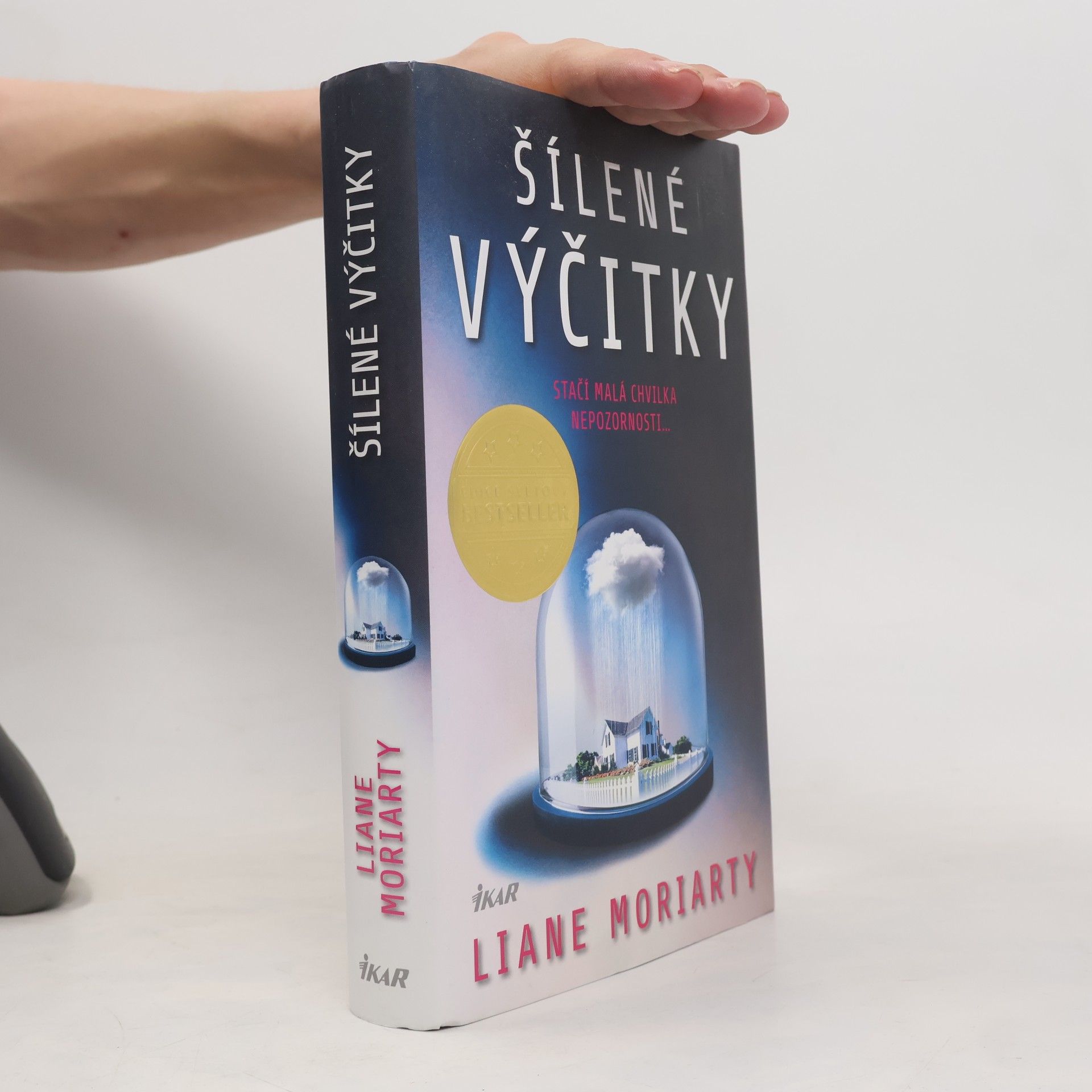 Liane Moriarty Šílené výčitky