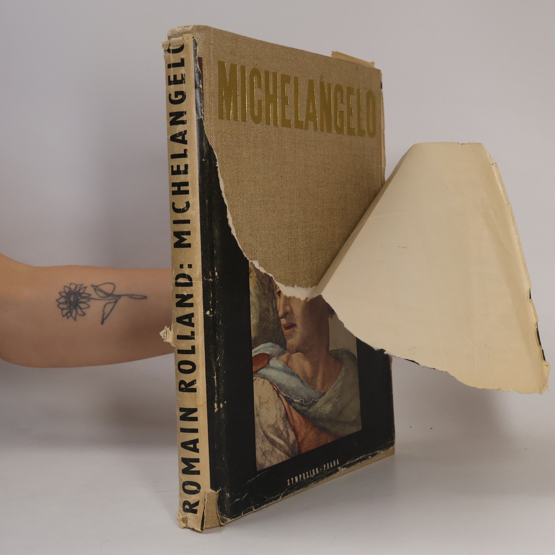 Romain Rolland Michelangelo Buonarroti