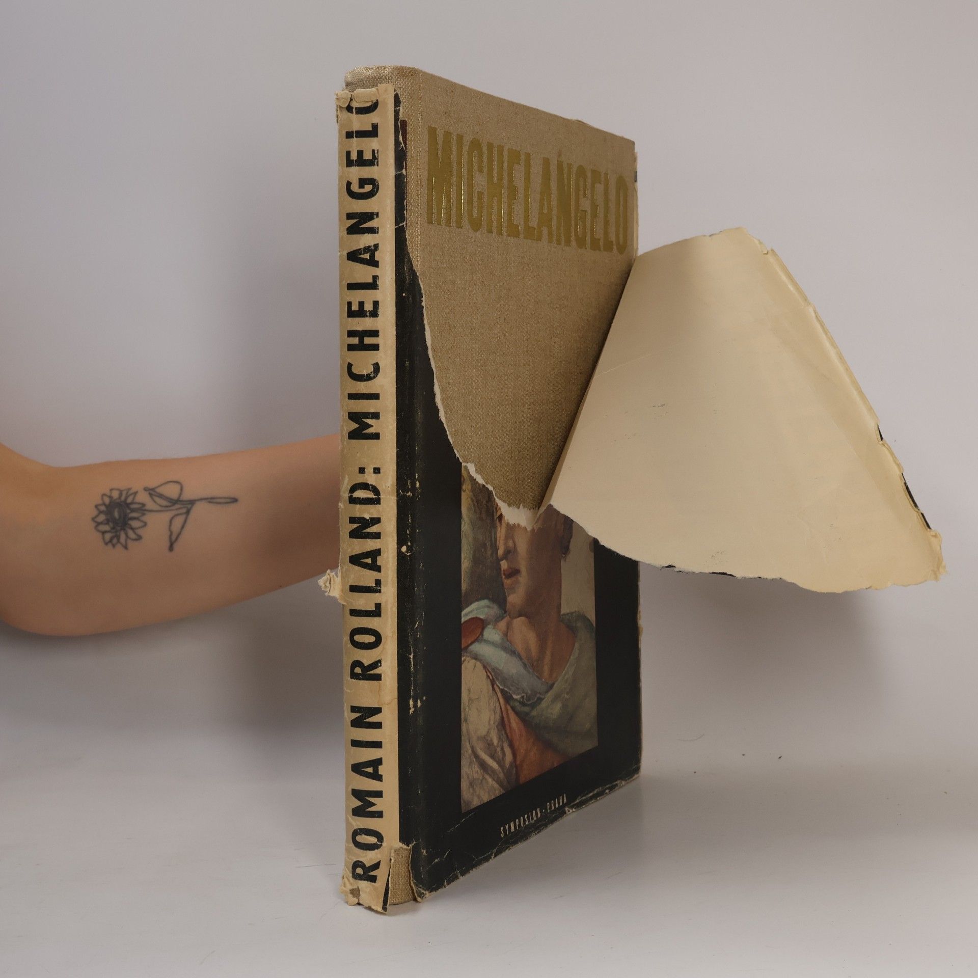 Romain Rolland Michelangelo Buonarroti