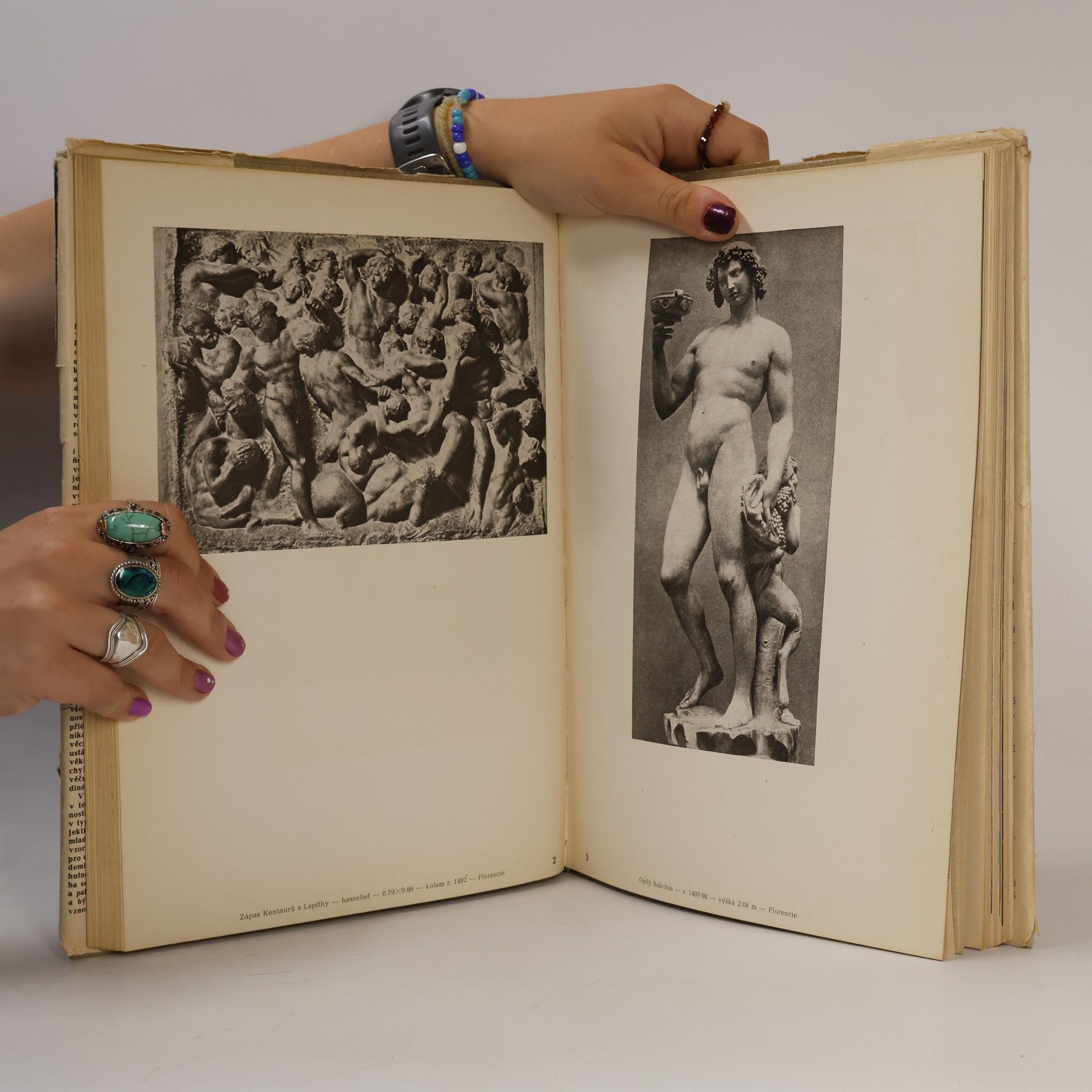 Romain Rolland Michelangelo Buonarroti