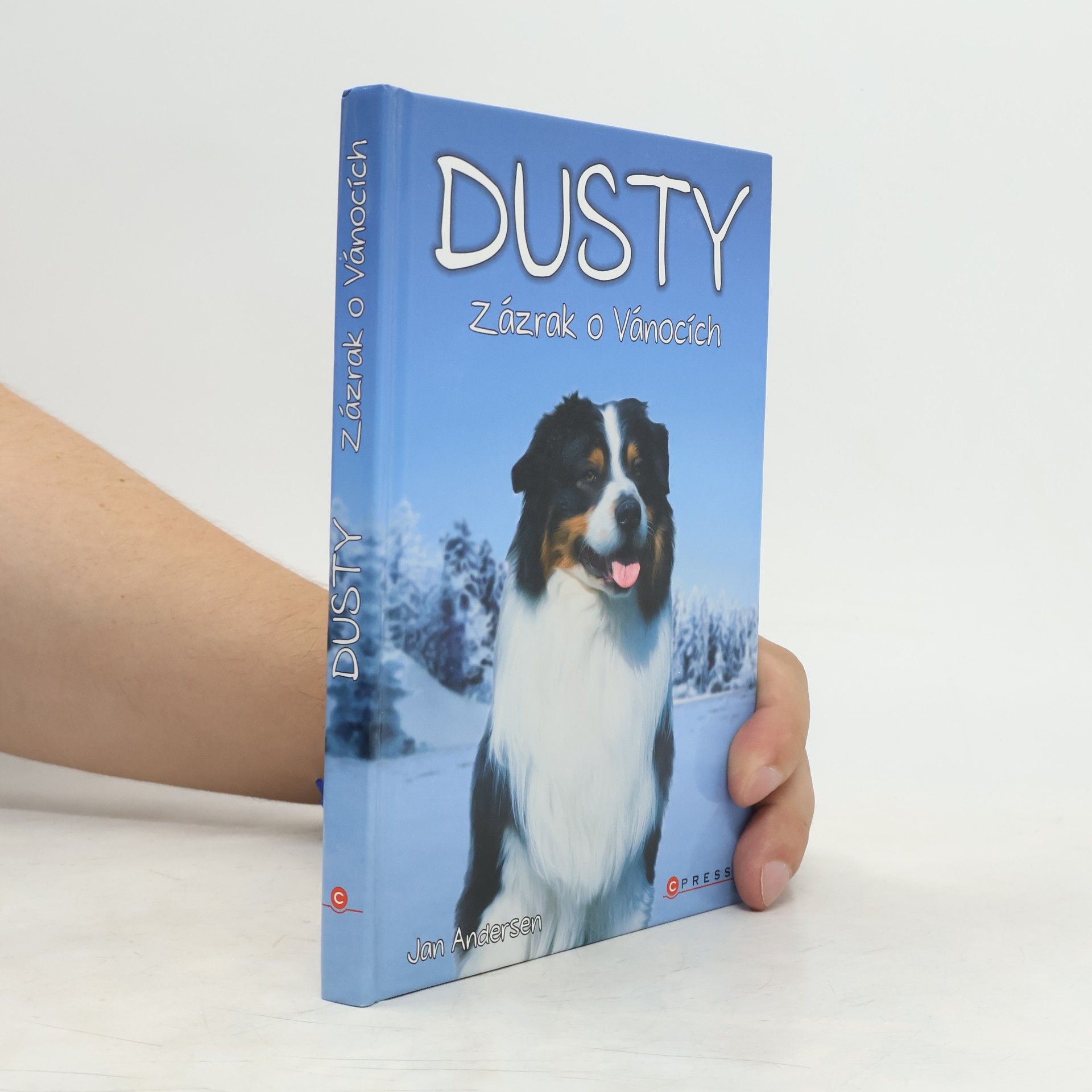 Wolfram Hänel Dusty: Zázrak o Vánocích