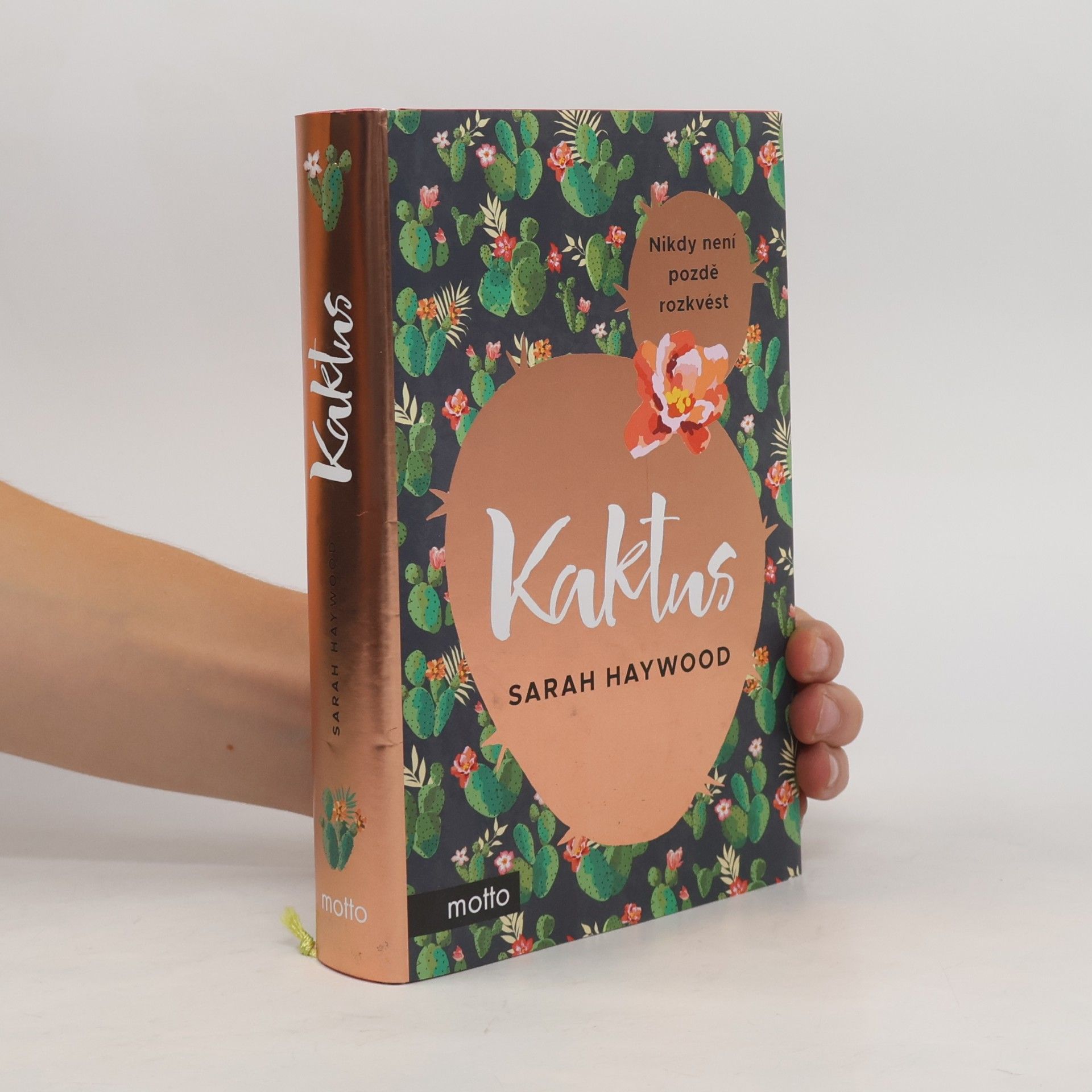 Sarah Haywood Kaktus