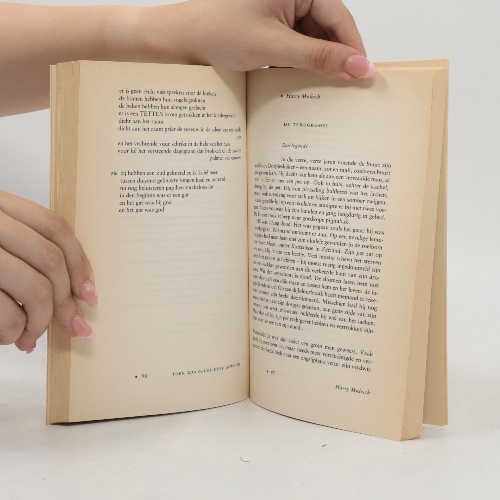 Diny Schouten Toen was geluk heel gewoon, een leesboek uit de jaren vijftig