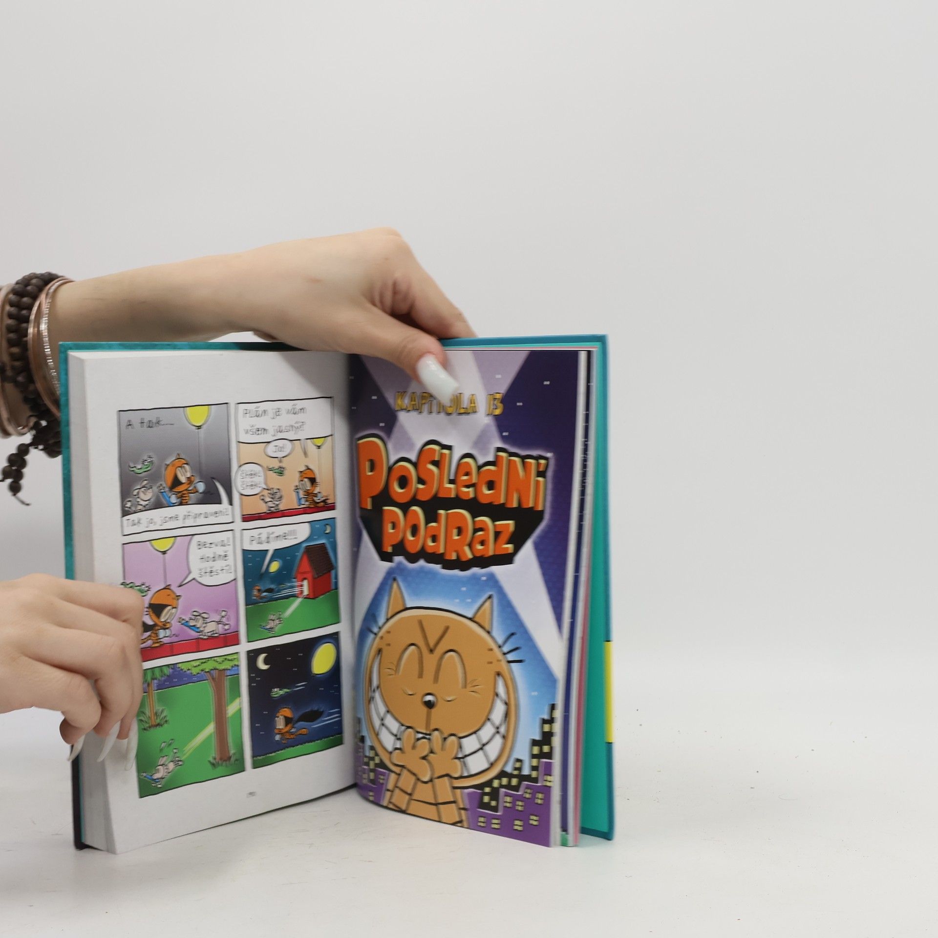 Dav Pilkey Dogman. Lapač 22