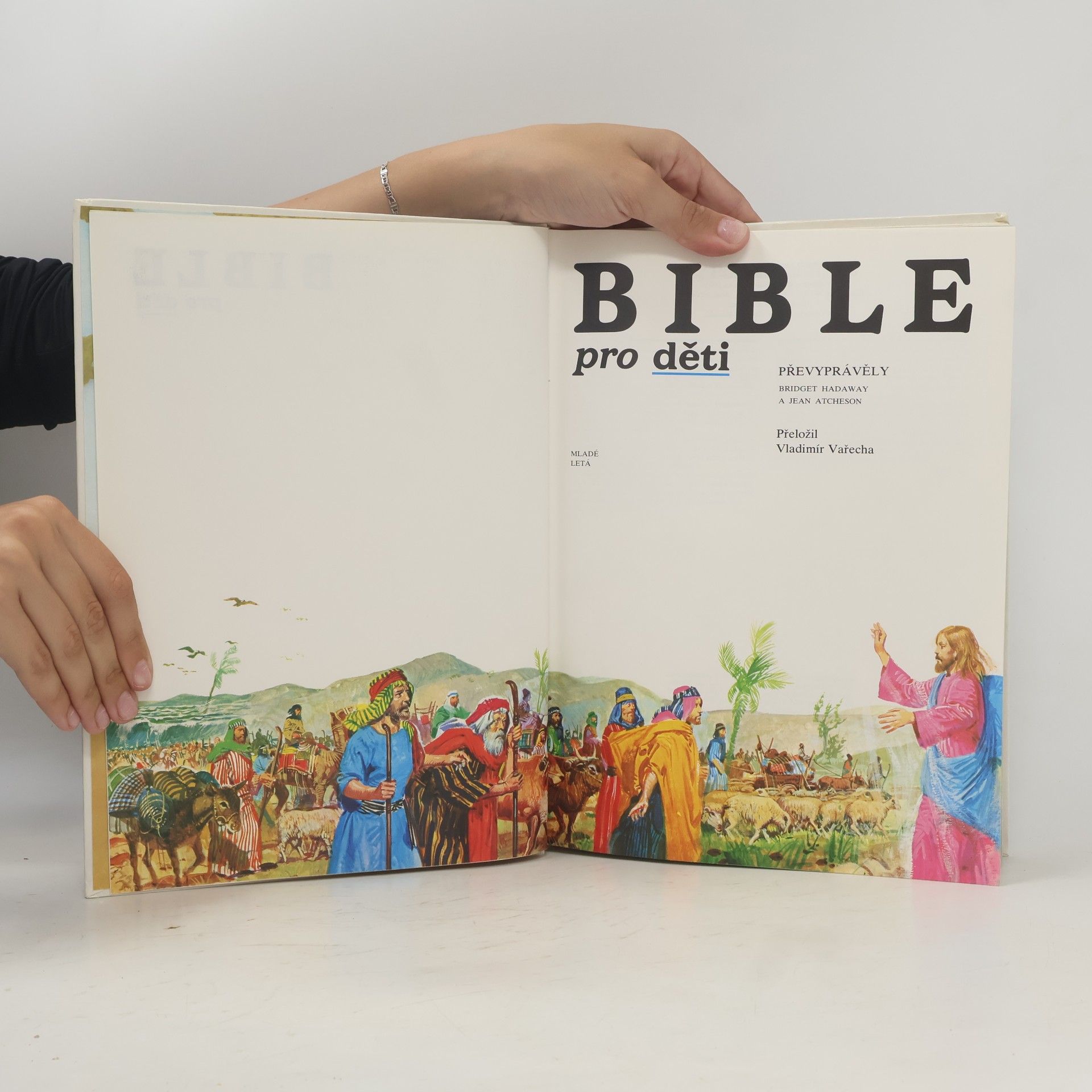 Bridget Hadaway Bible pro děti