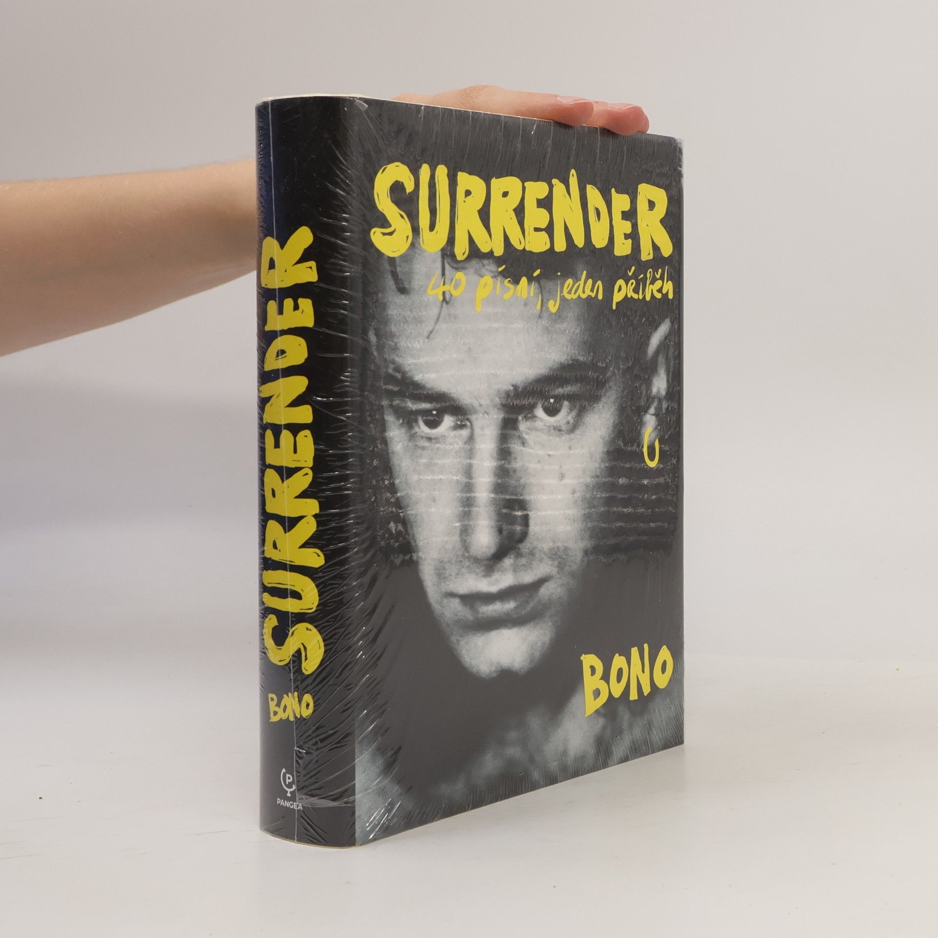Surrender : 40 písní, jeden příběh
