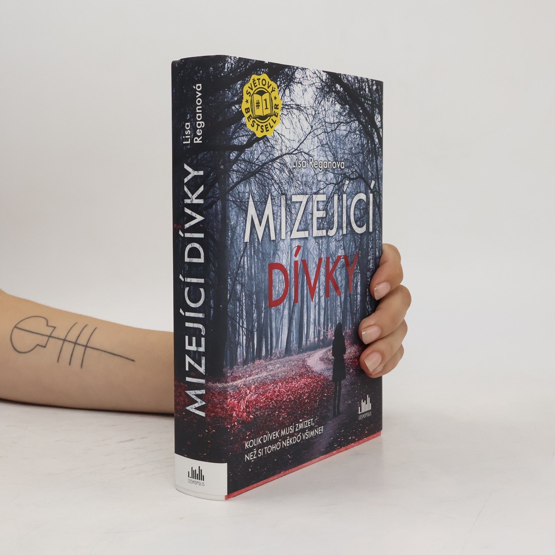 Lisa Regan Mizející dívky