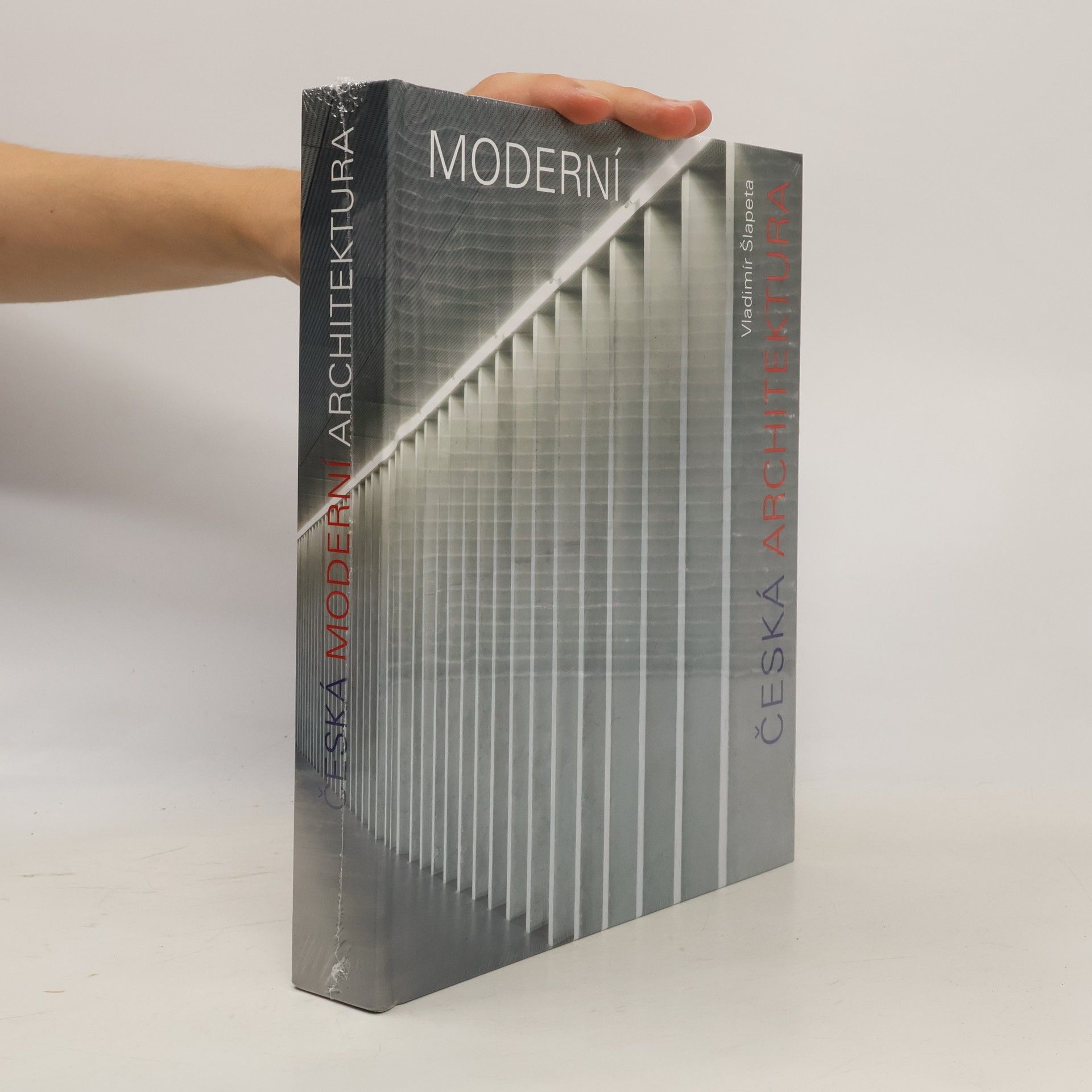 Vladimír Šlapeta Česká moderní architektura