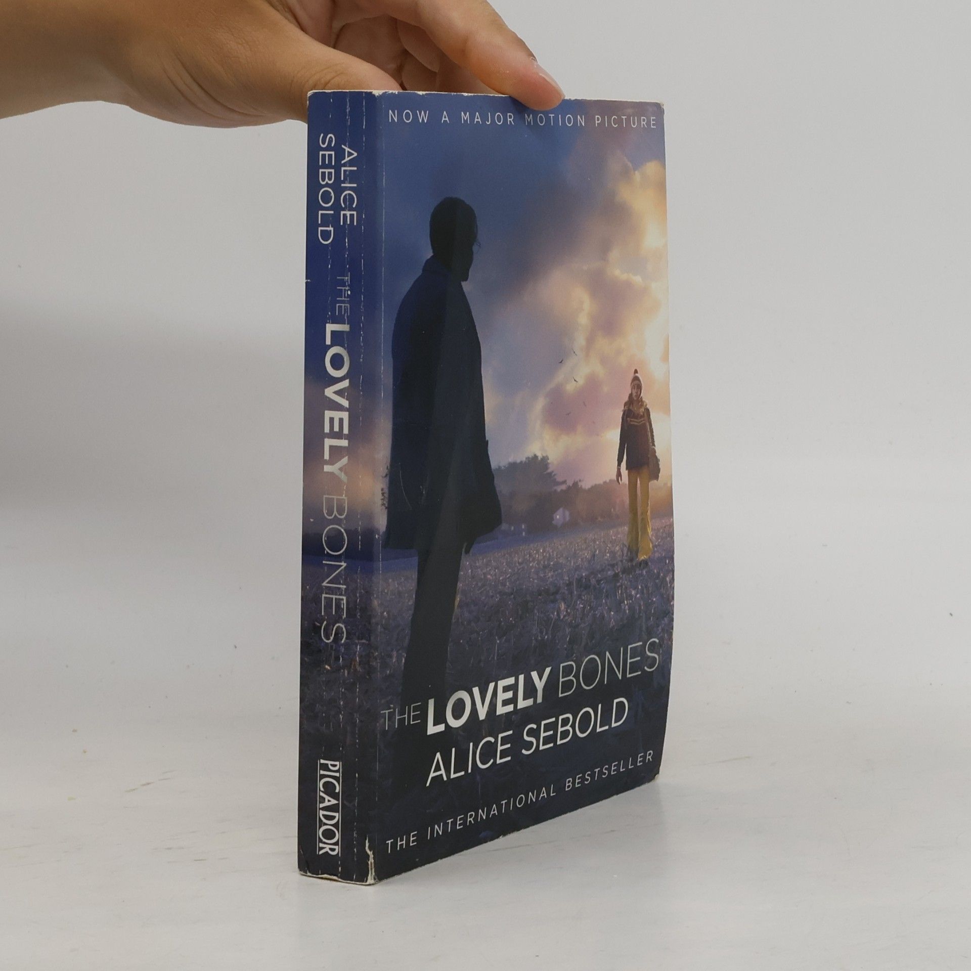 Alice Sebold The Lovely Bones