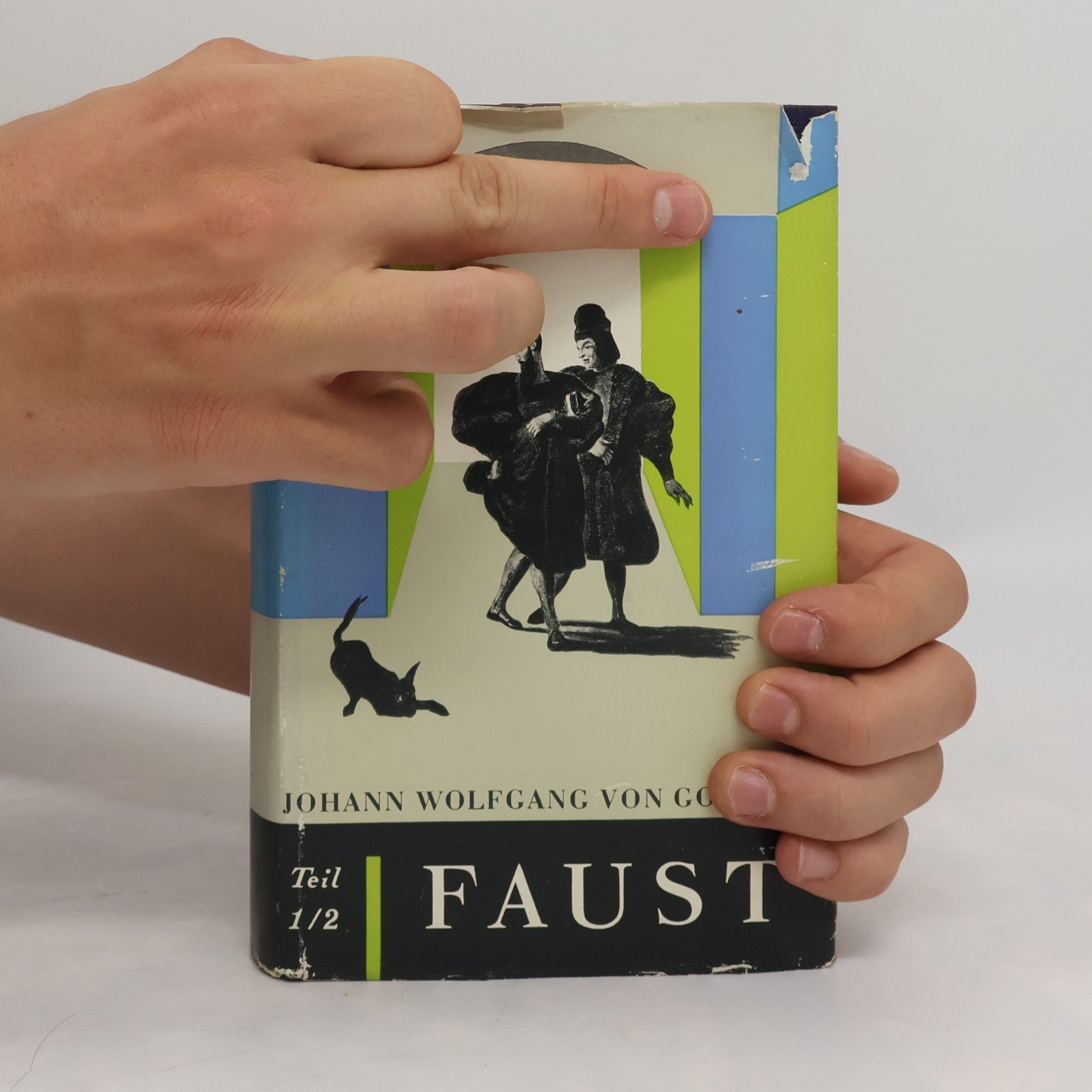 Johann Wolfgang von Goethe Faust. Teil 1/2