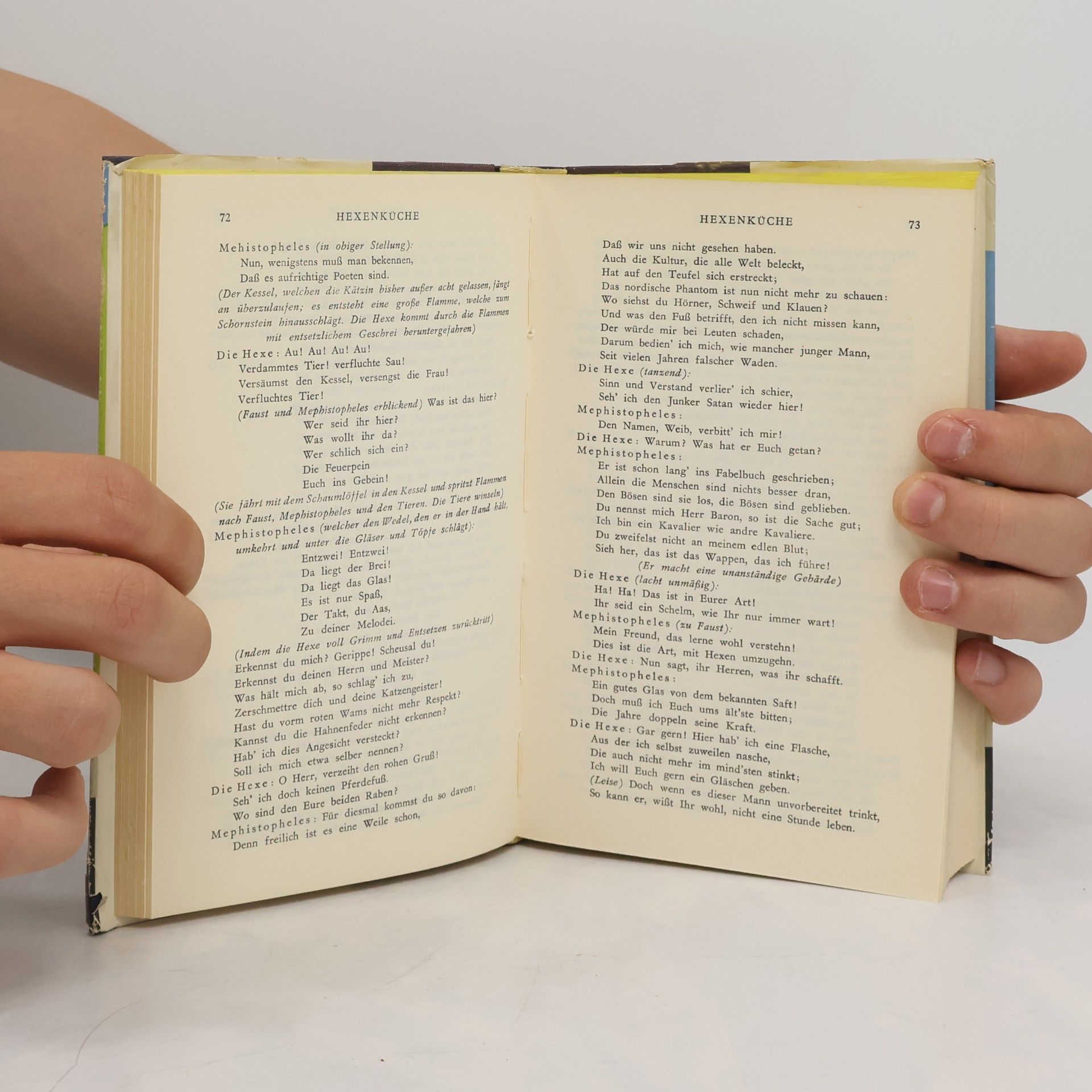 Johann Wolfgang von Goethe Faust. Teil 1/2