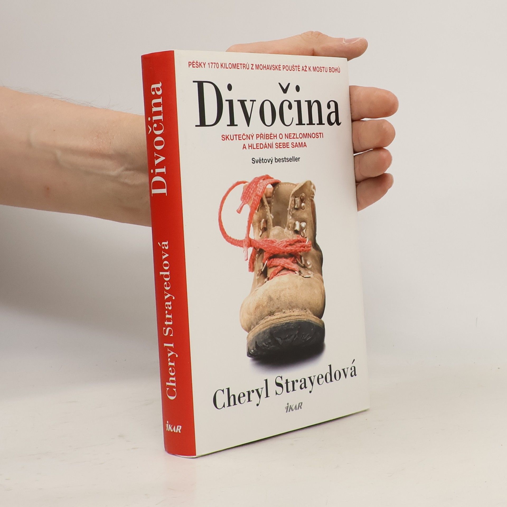 Cheryl Strayed Divočina
