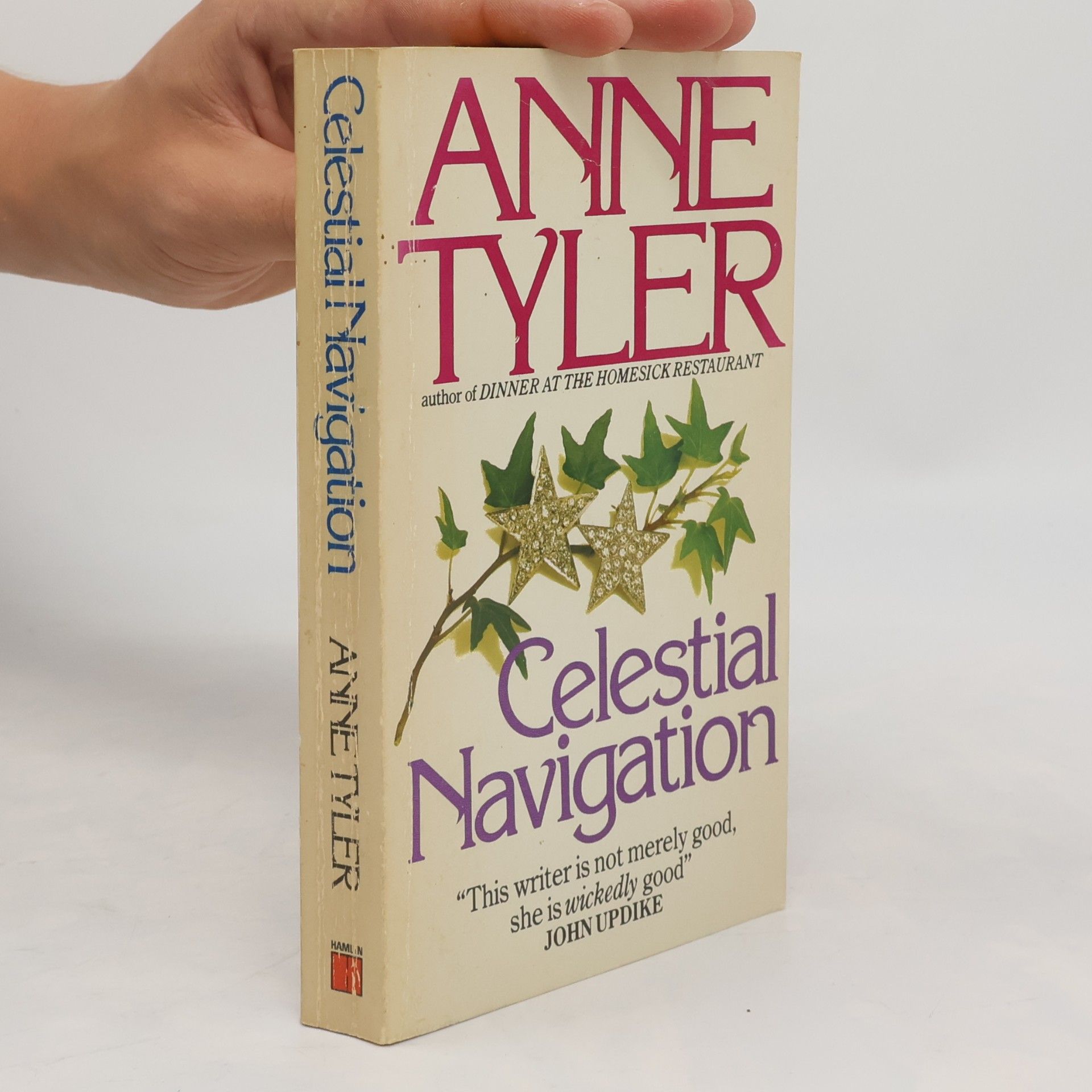 Anne Tyler Celestial Navigation