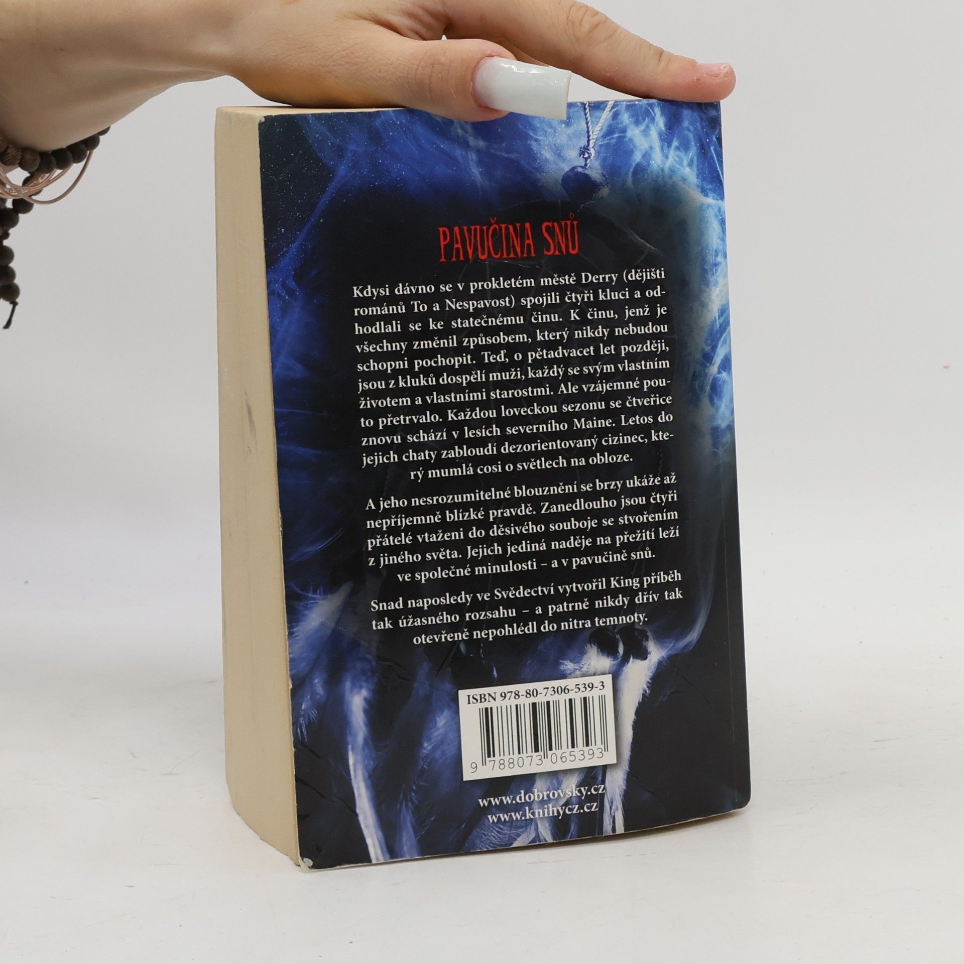 Stephen King Pavučina snů