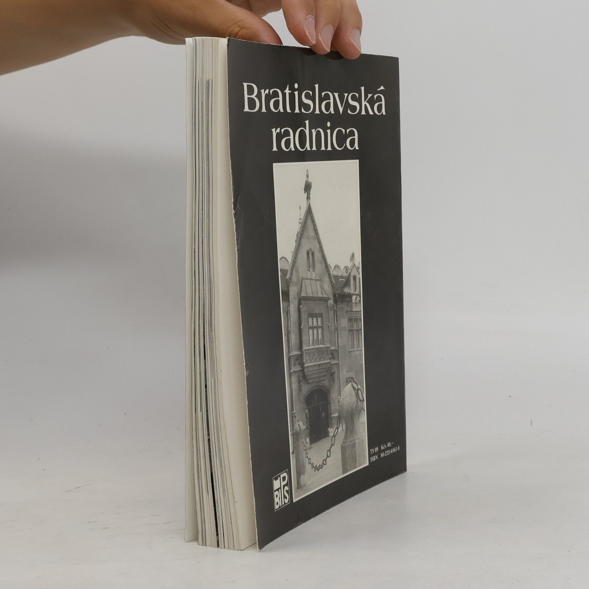 Holčík Bratislavská radnica