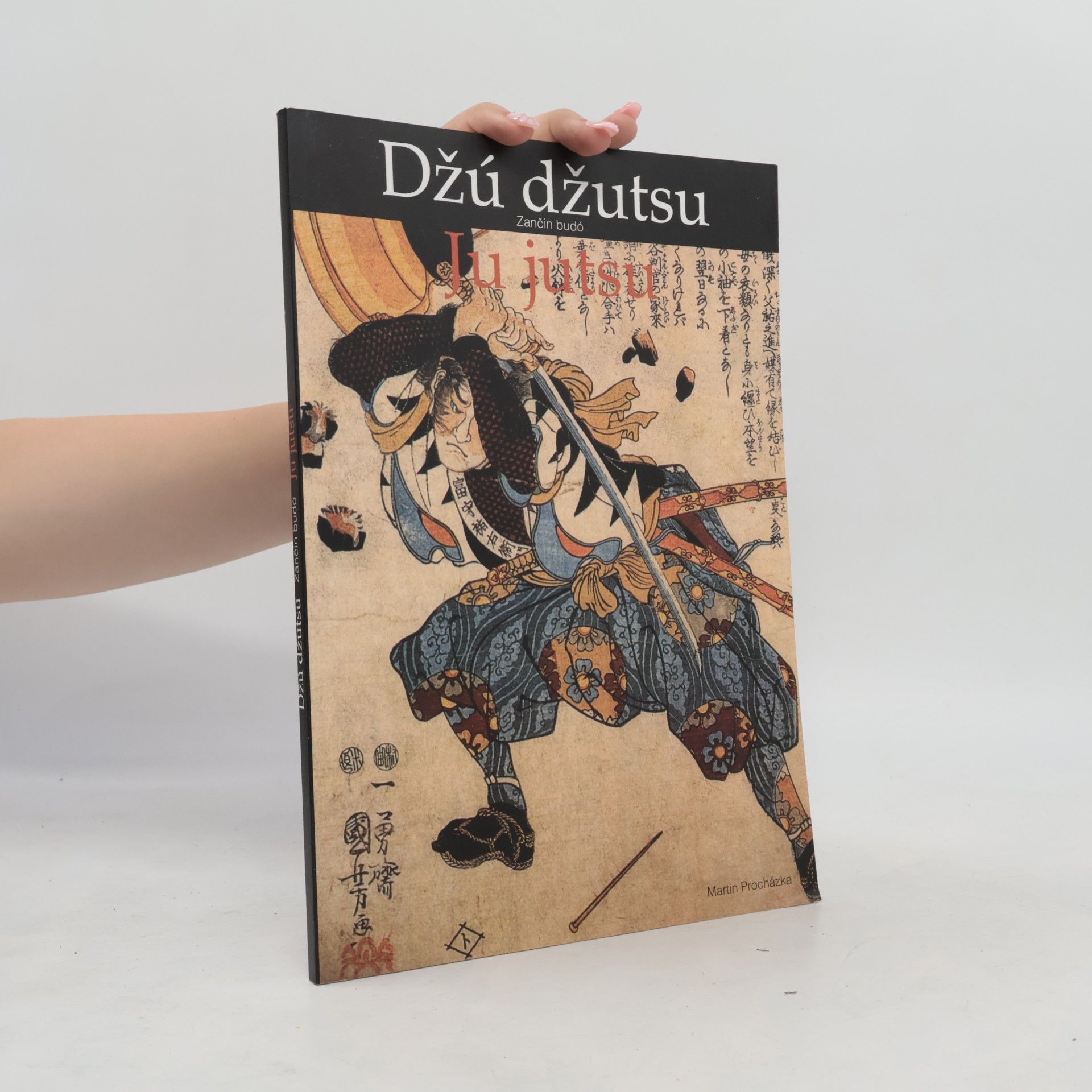Martin Procházka Džú džutsu: Zančin budó - Ju jutsu