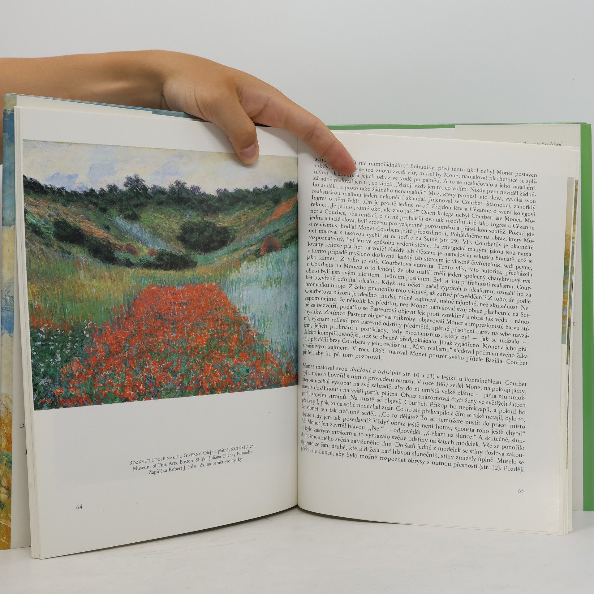Yvon Taillandier Monet