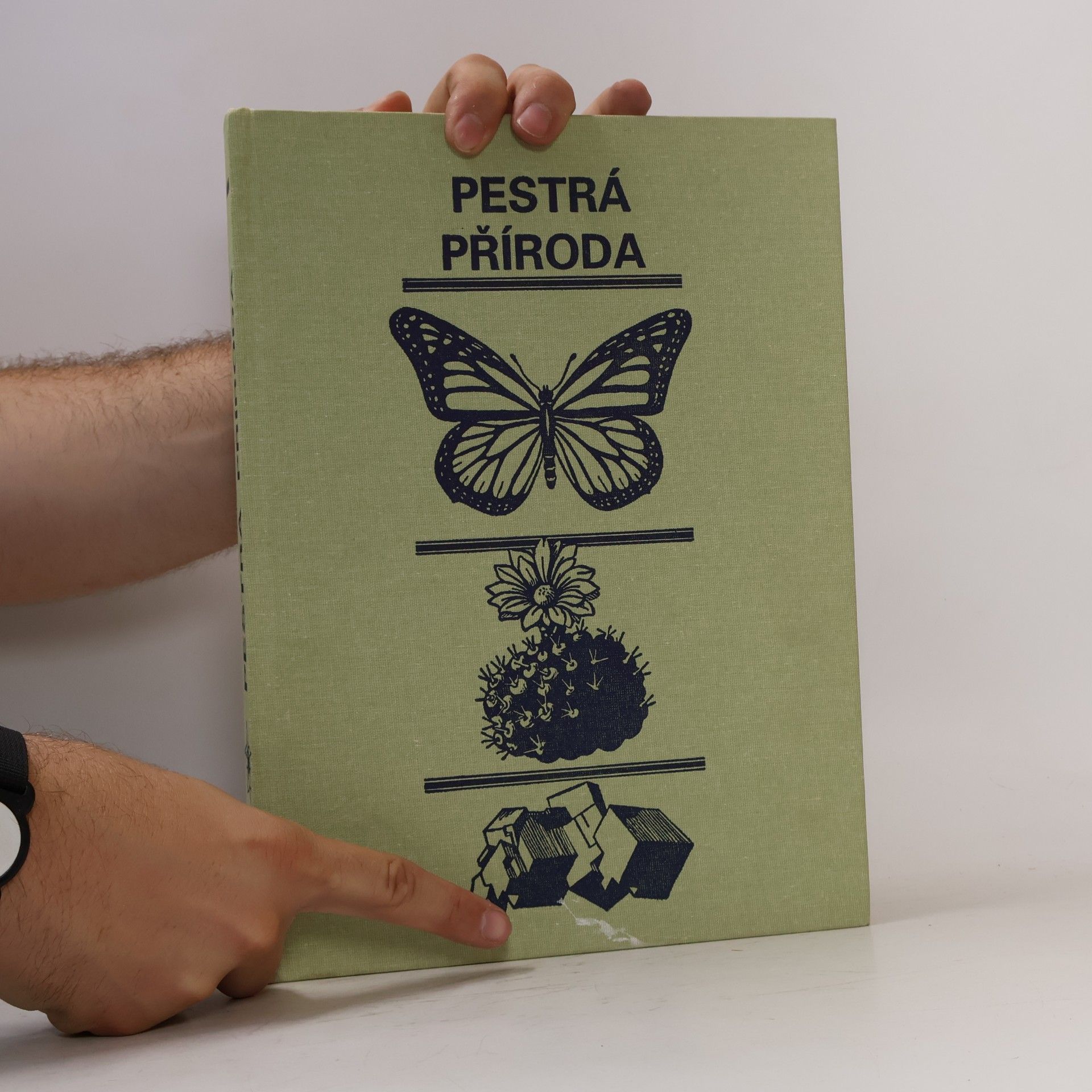 Kolektiv autorů Pestrá příroda