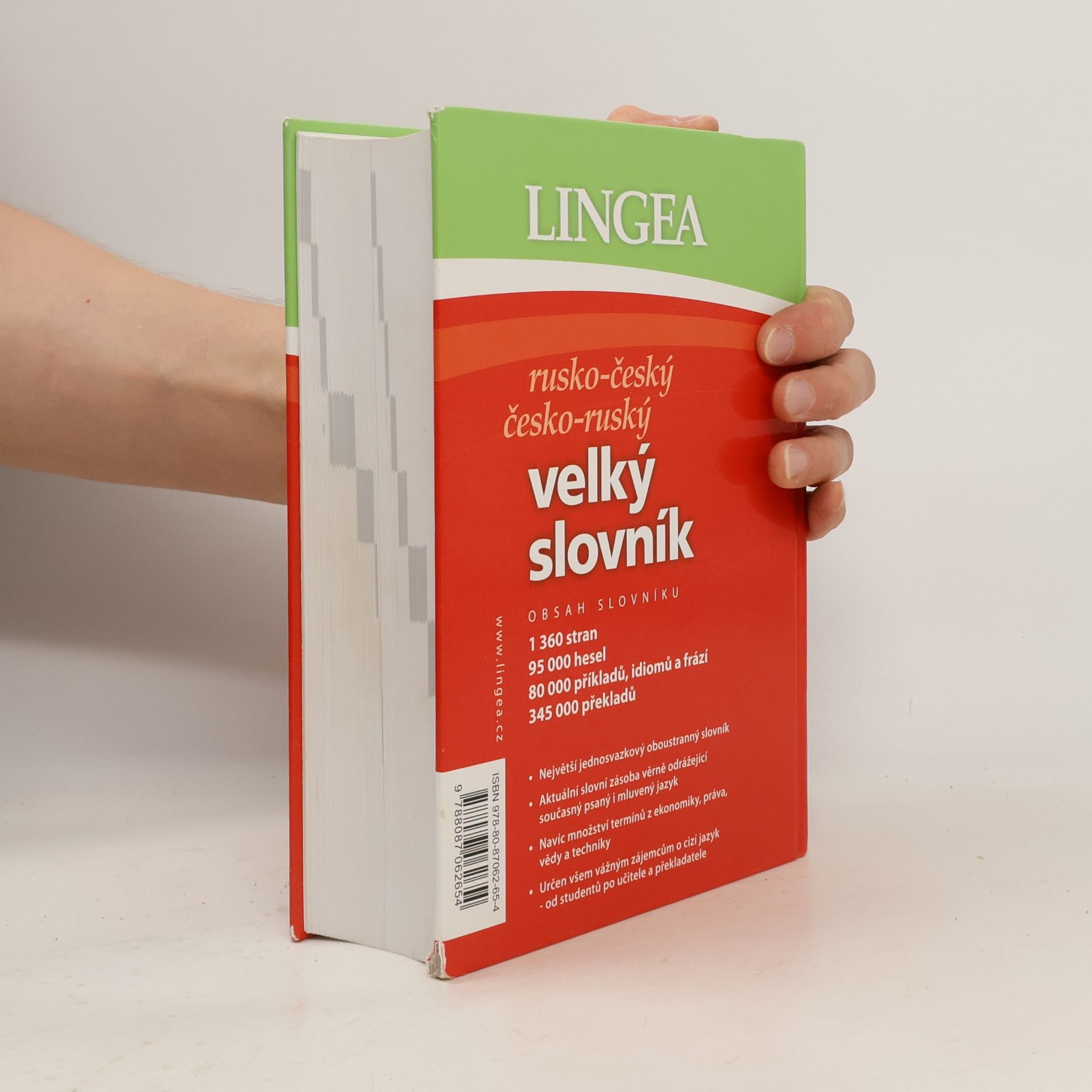Autorenkollektiv Rusko-český, česko-ruský velký slovník