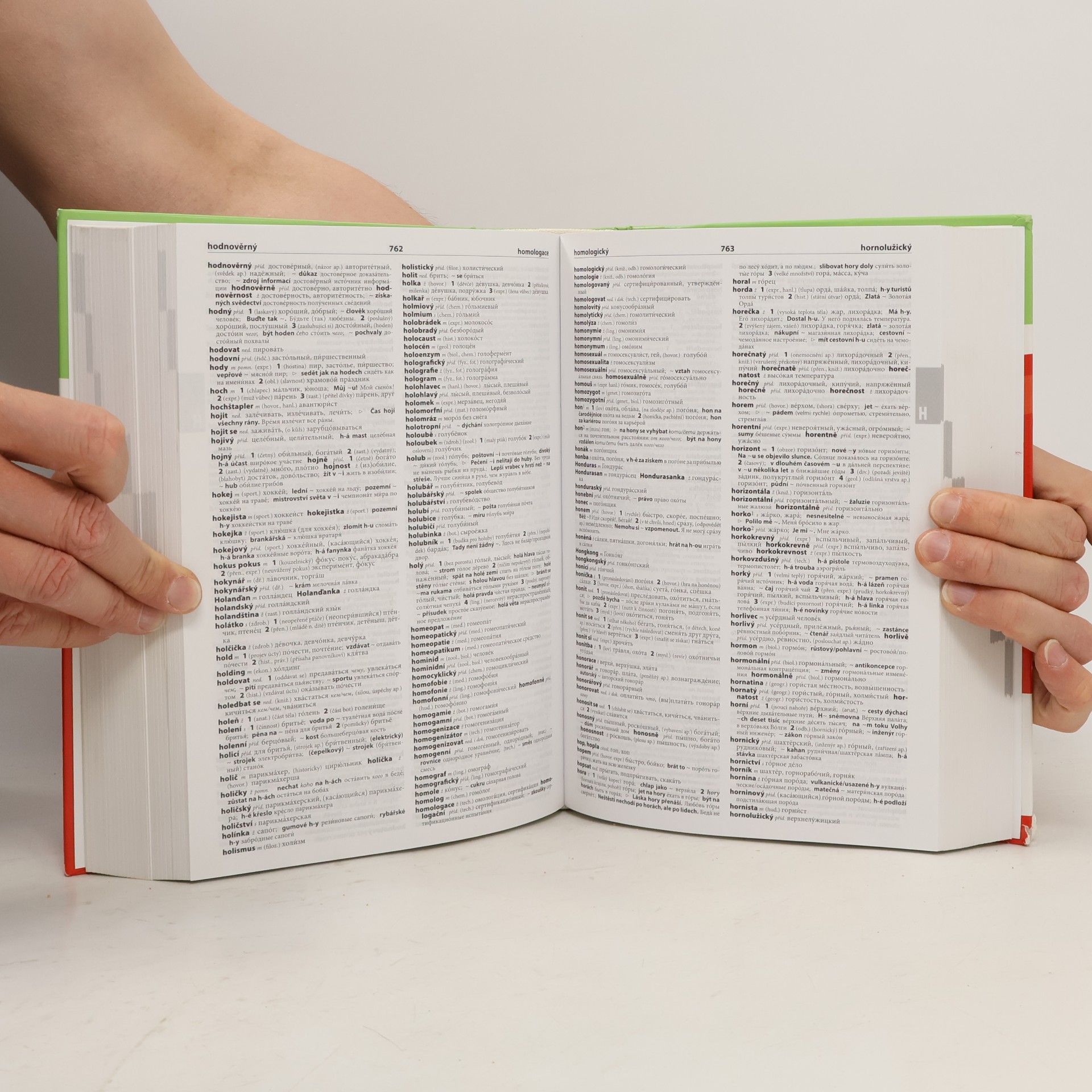 Autorenkollektiv Rusko-český, česko-ruský velký slovník