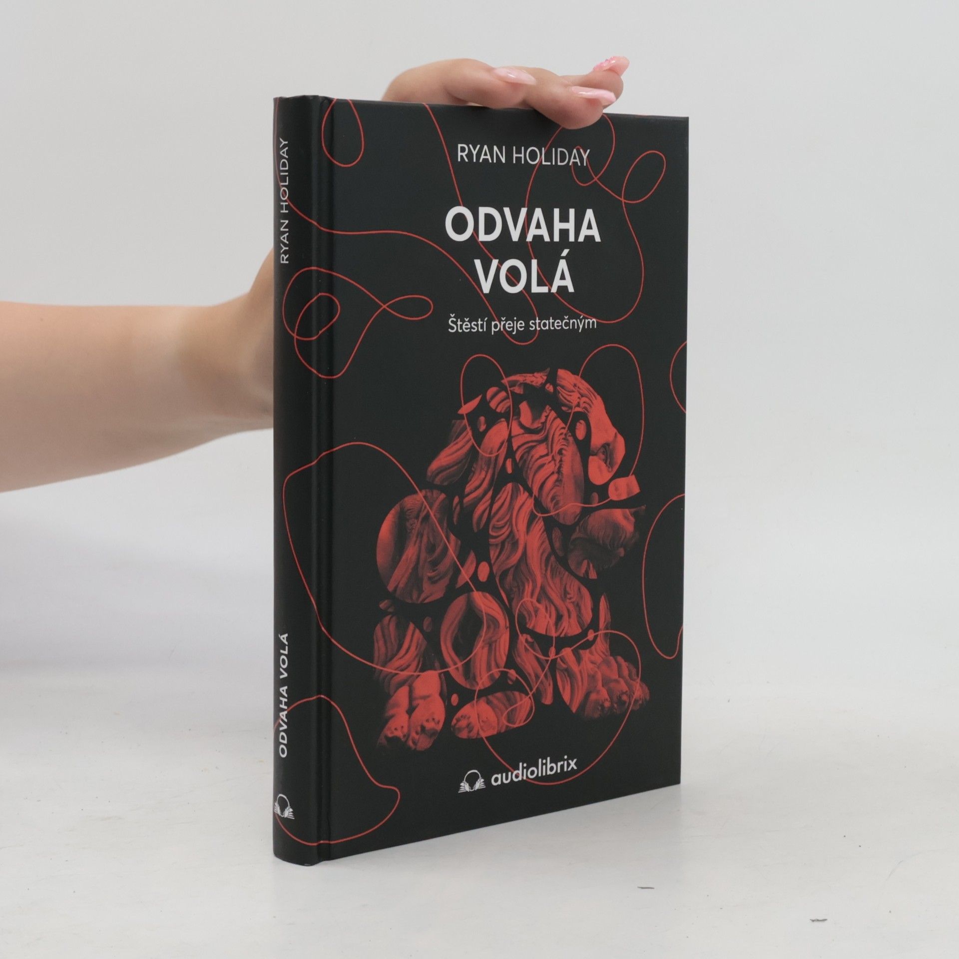Ryan Holiday Odvaha volá : štěstí přeje statečným