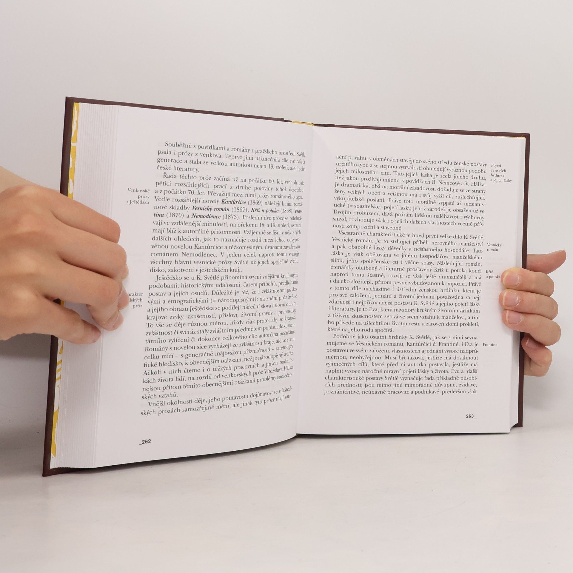 Bohumil Svozil Česká literatura ve zkratce. Období od 9. století po konec 20. století