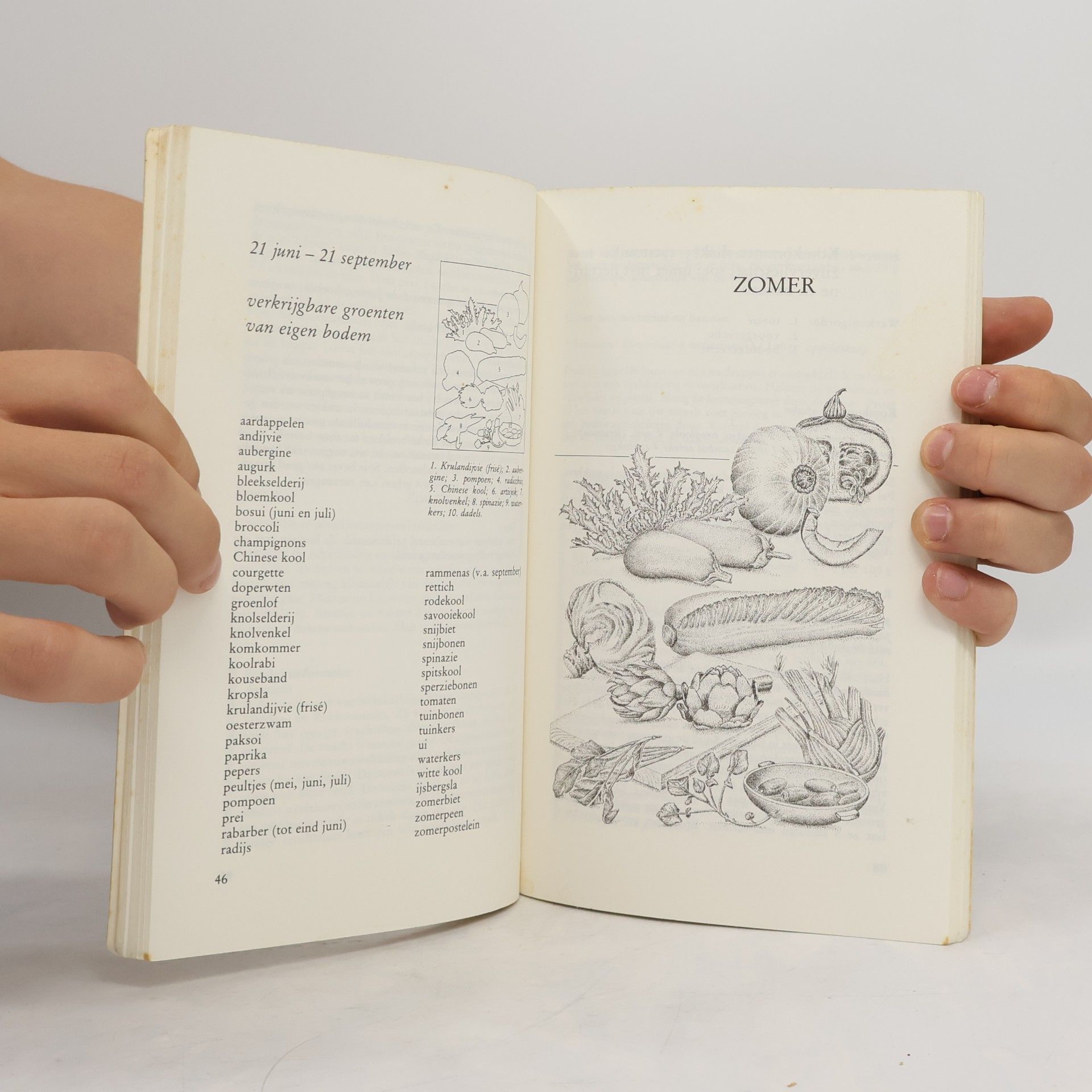 Lidy Nooy-Blokzijl 52 exotische vegetarische menu's