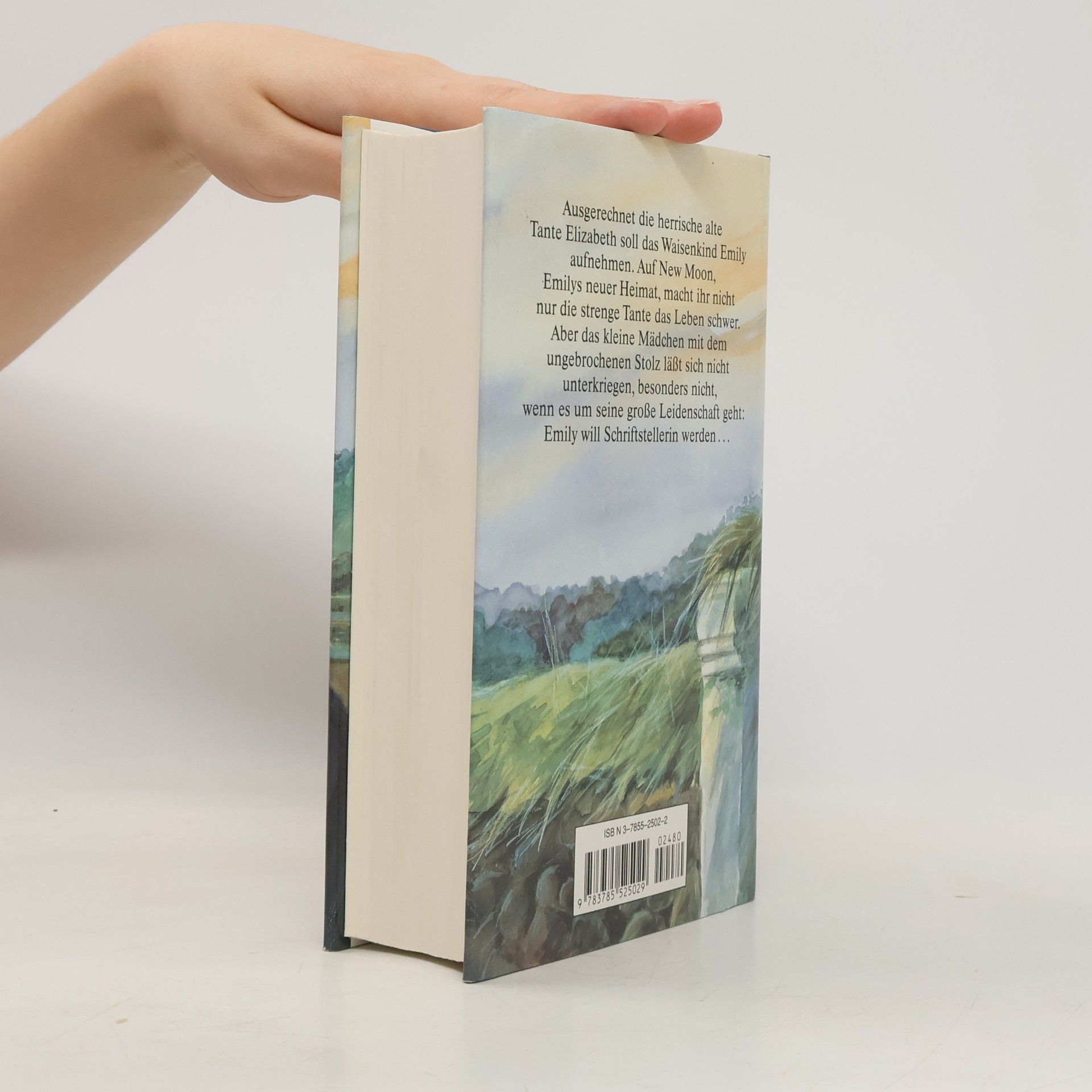 Marianne Späh Leselöwen-Ponybuch