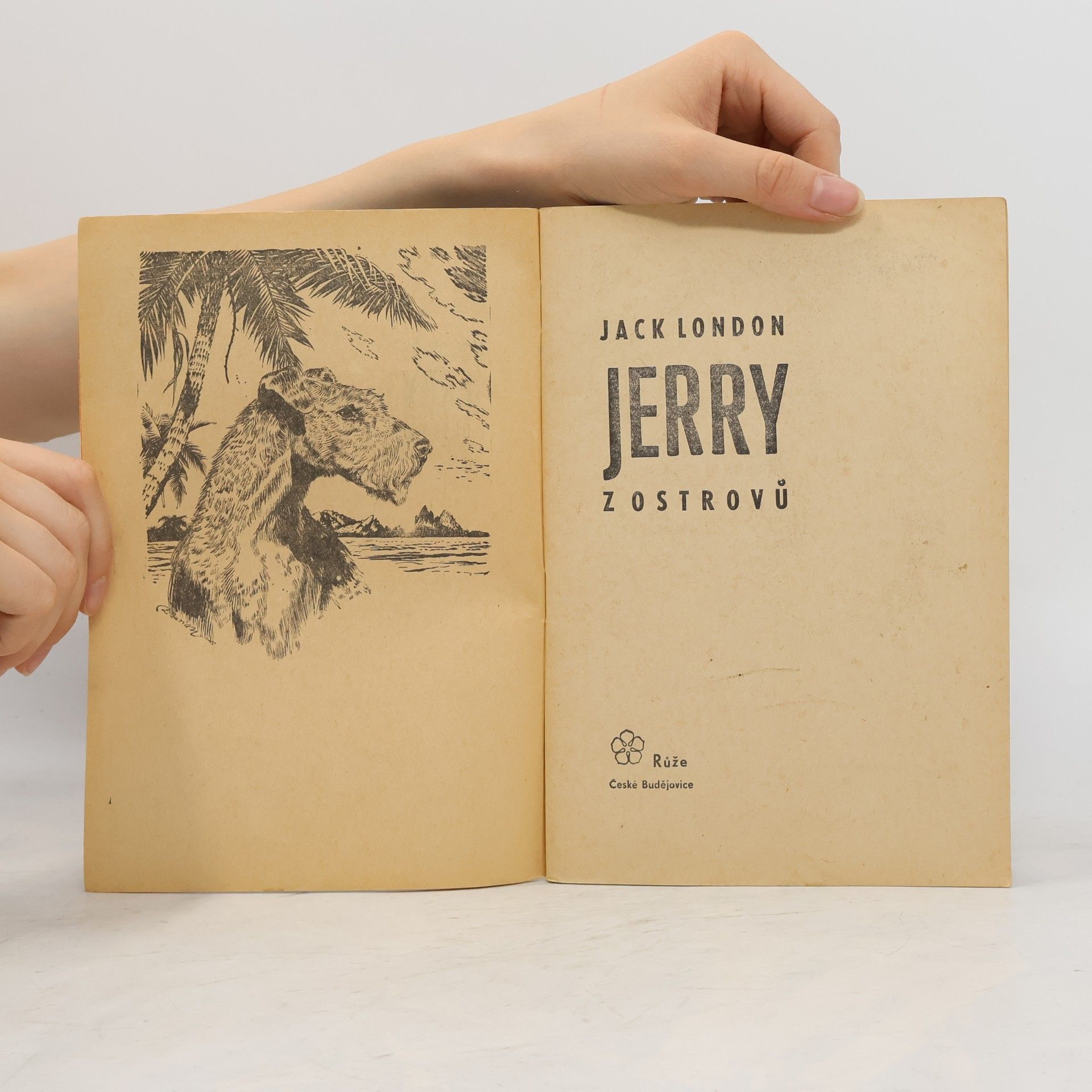 Jack London Statečná srdce 8. Jerry z ostrovů
