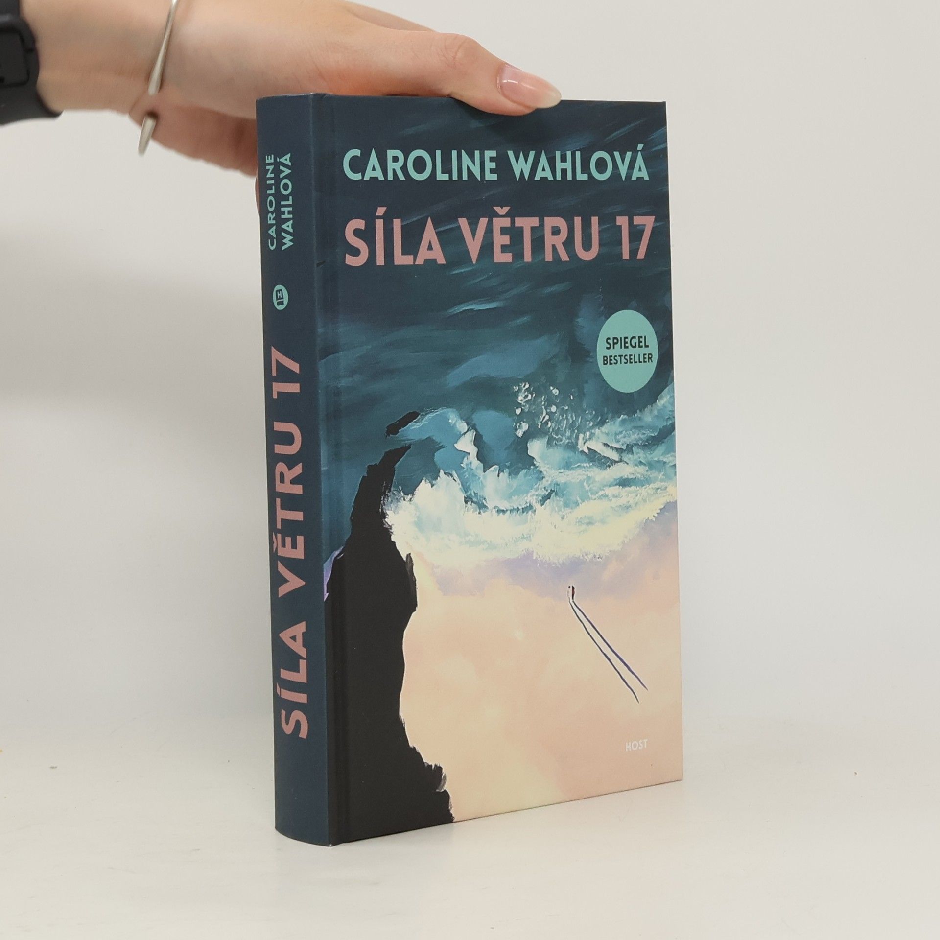 Caroline Wahl Síla větru 17