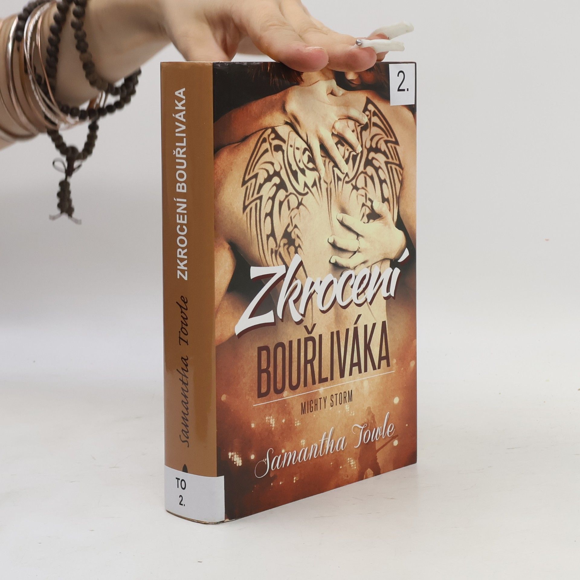 Samantha Towle Zkrocení bouřliváka