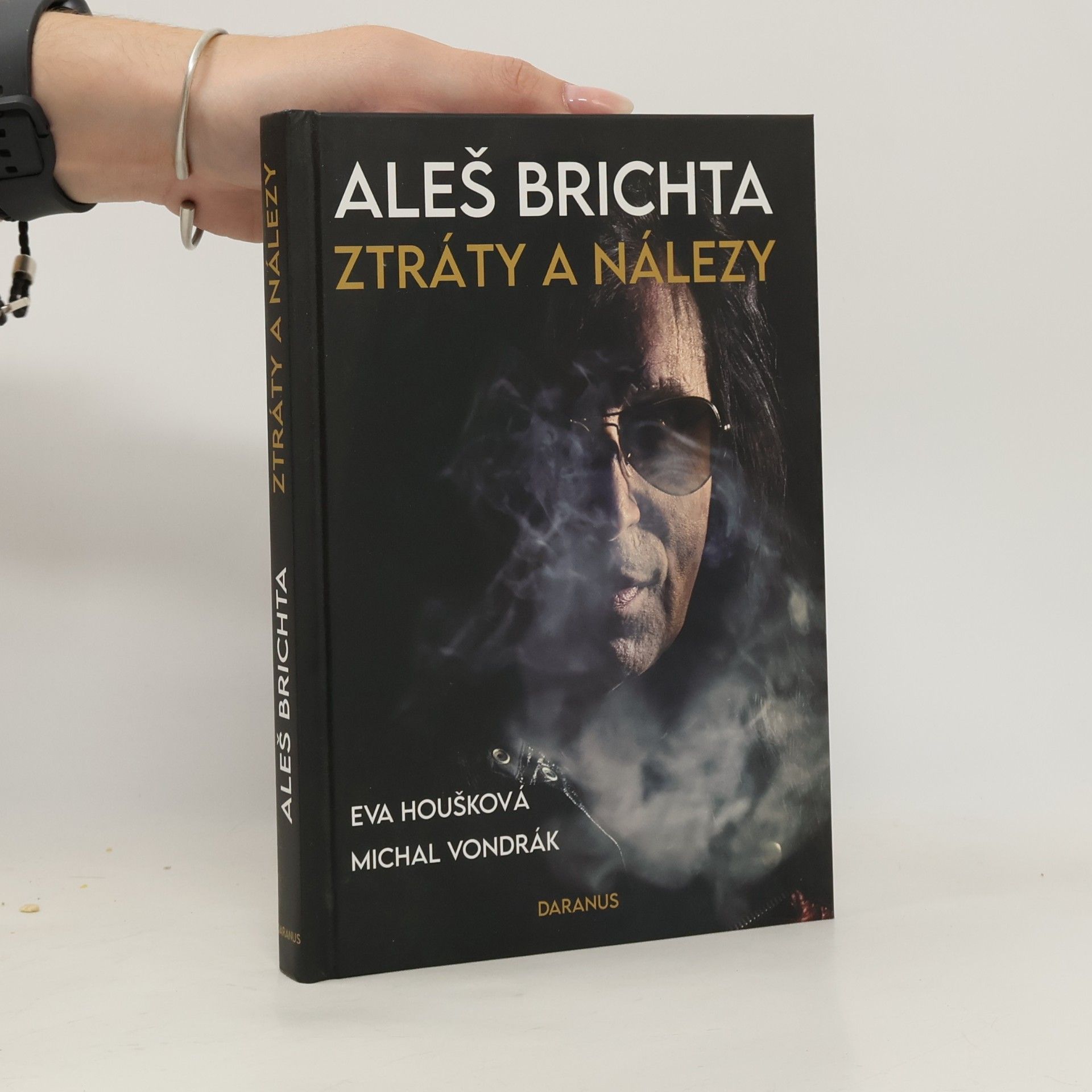 Michal Vondrák Aleš Brichta : ztráty a nálezy