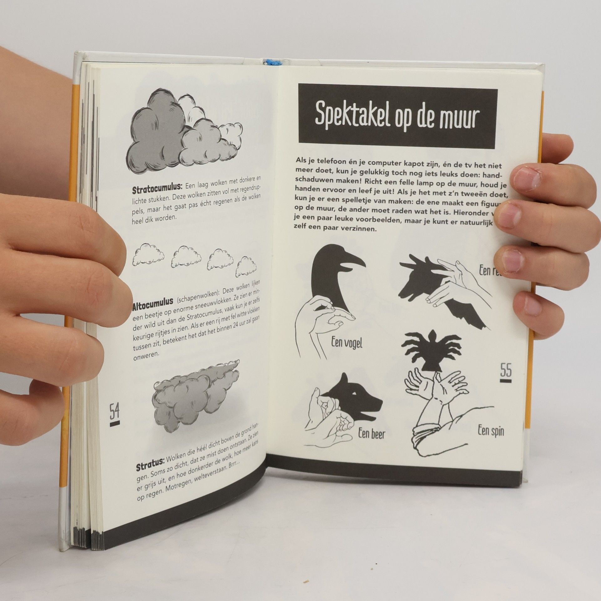 Reggie Naus Handboek voor Wetenswaardigheden