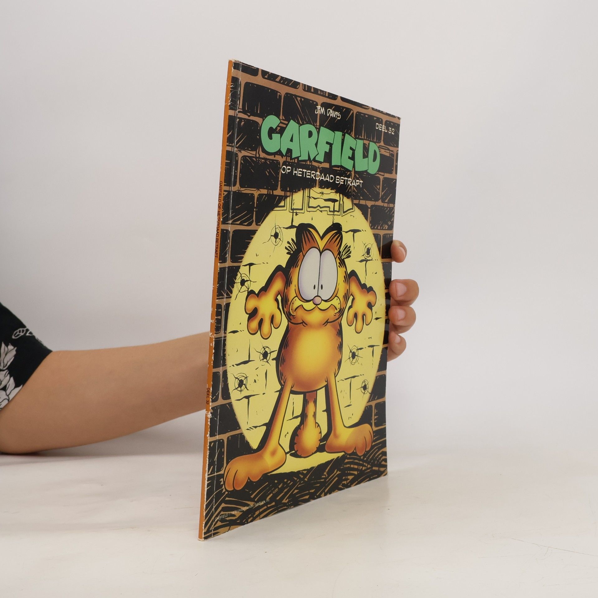 Jim Davis Garfield 32