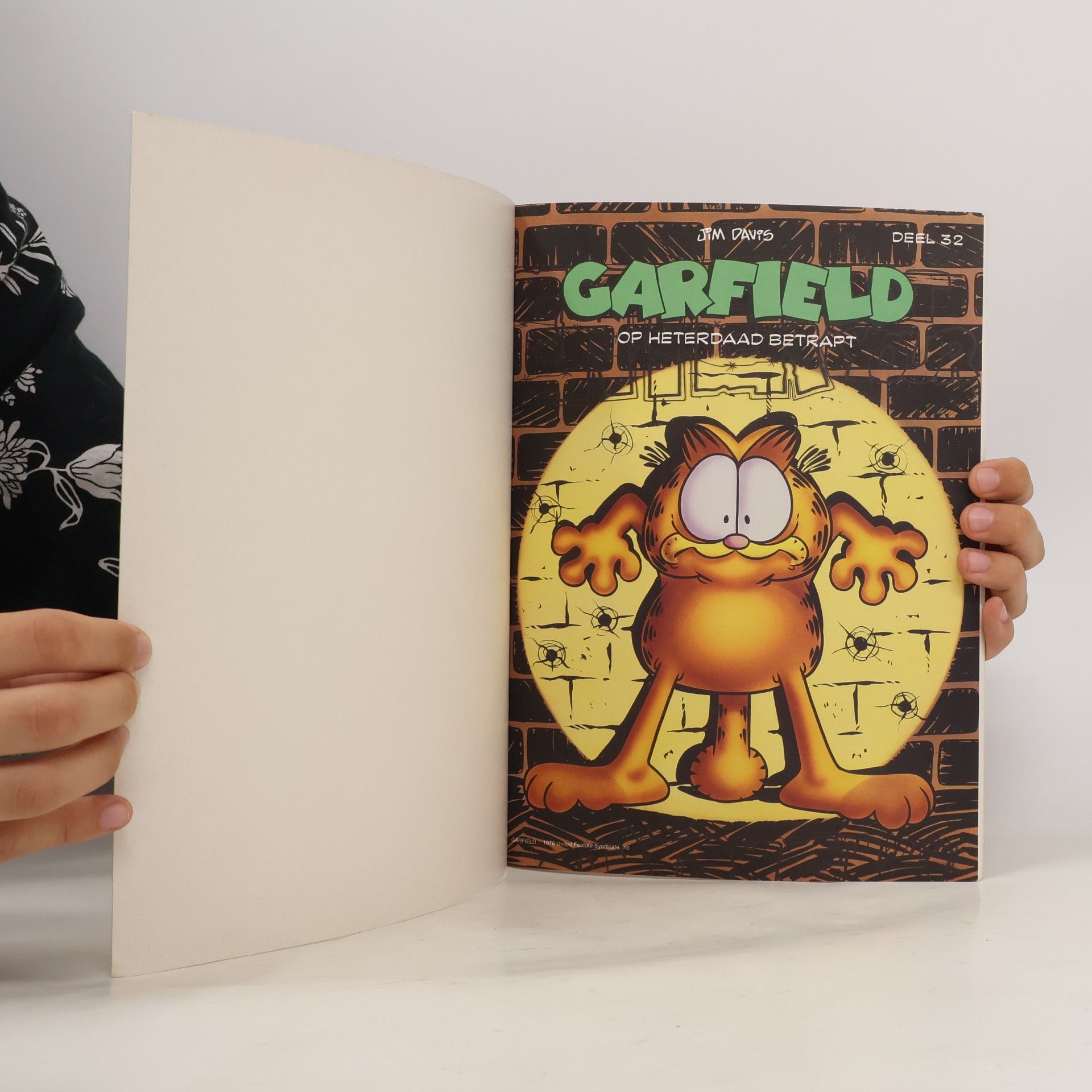 Jim Davis Garfield 32