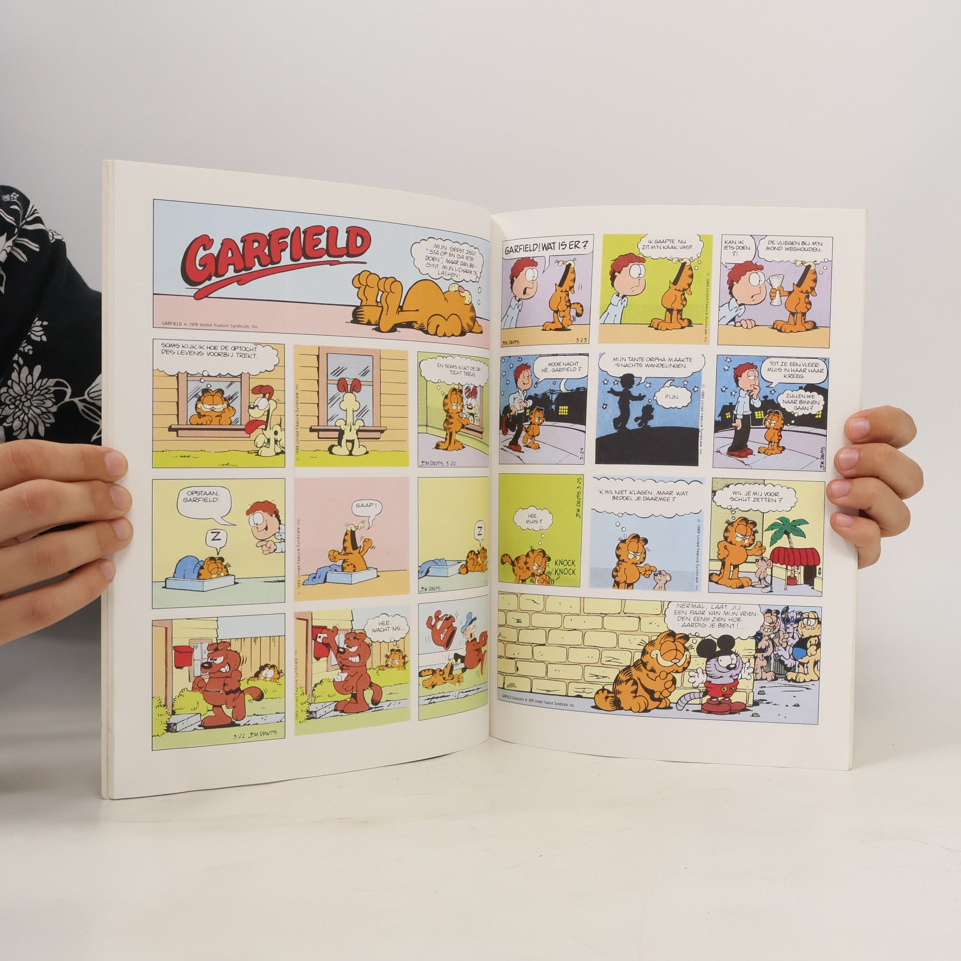 Jim Davis Garfield 33
