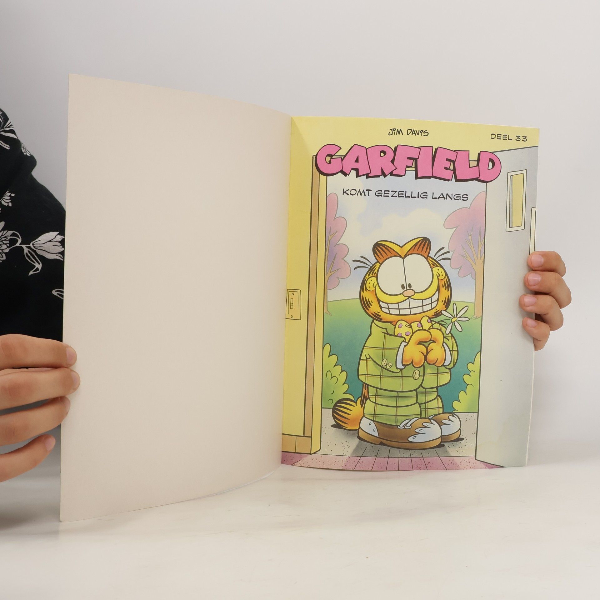Jim Davis Garfield 33