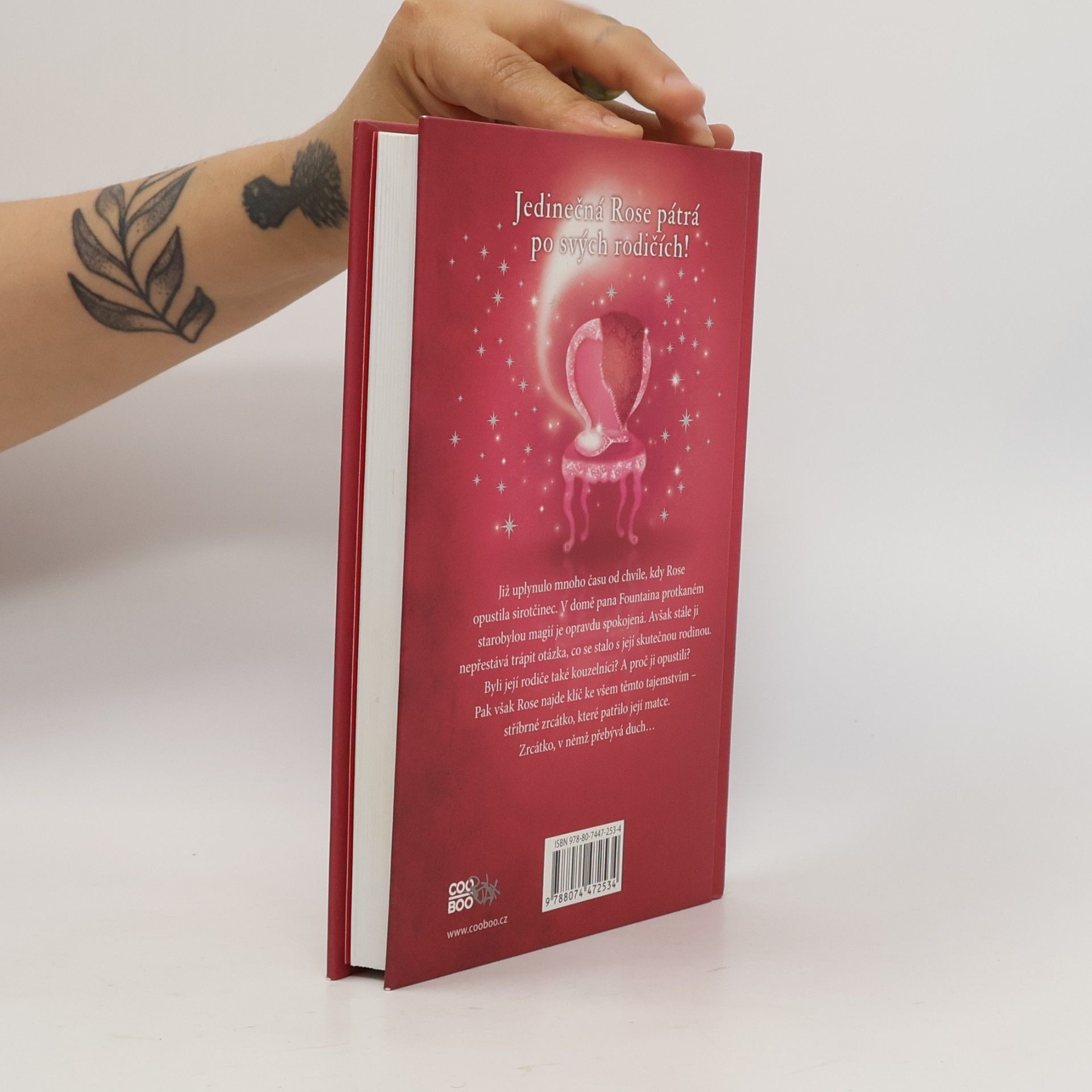 Holly Webb Rose a stříbrný duch