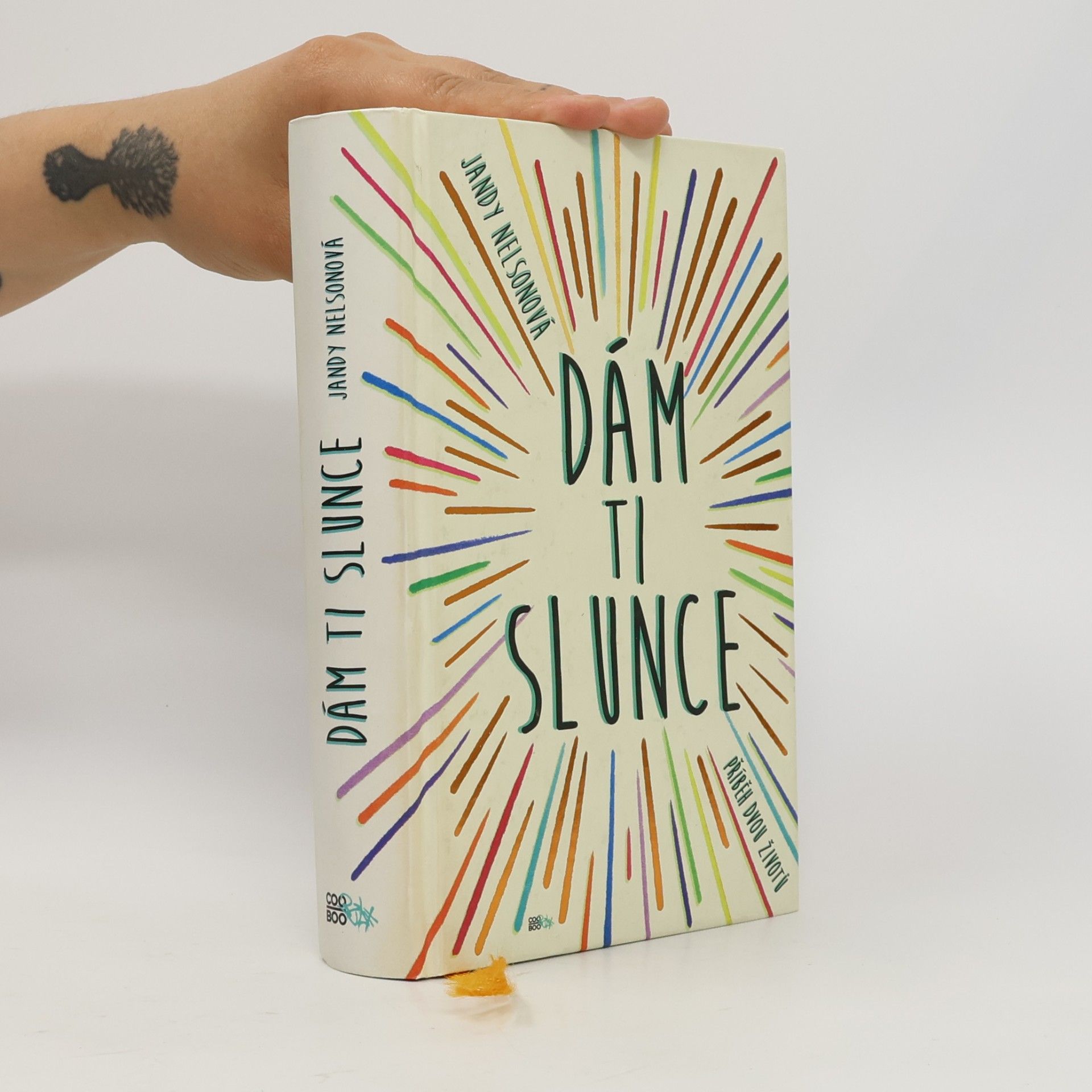 Jandy Nelson Dám ti slunce