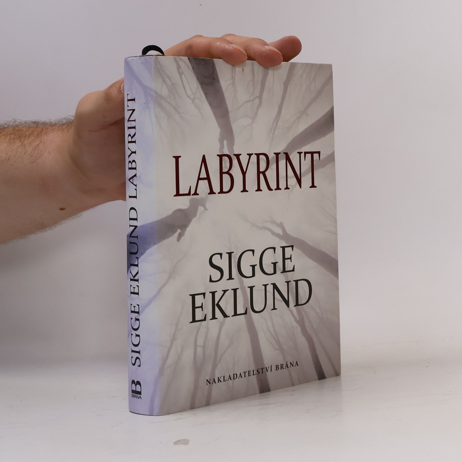 Sigge Eklund Labyrint