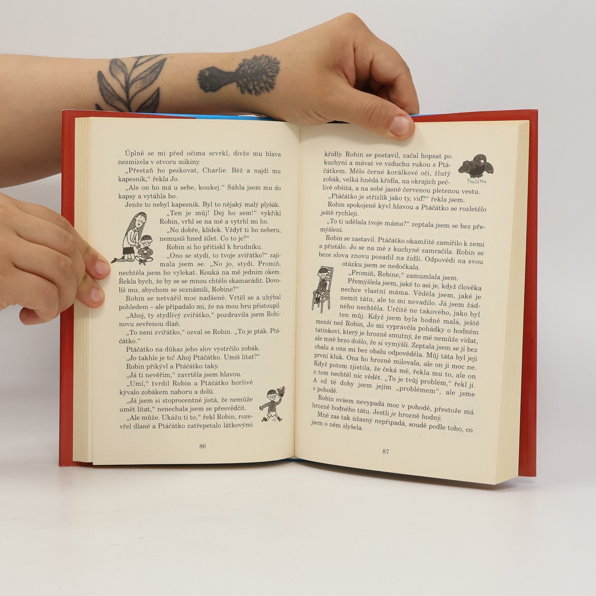 Jacqueline Wilson Projekt Loty