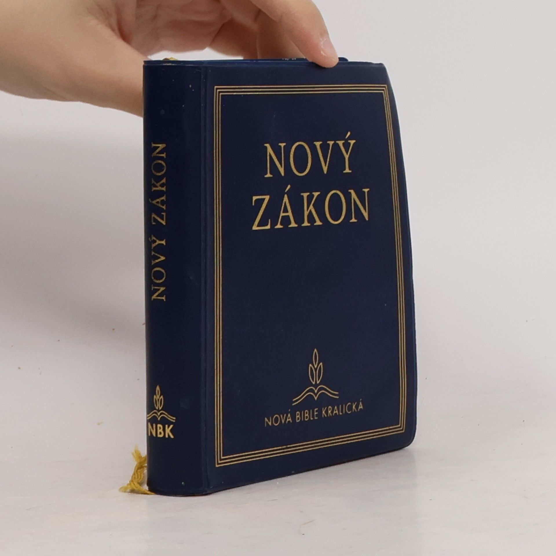 Pavel Hoffman Nová Bible kralická - Nový zákon