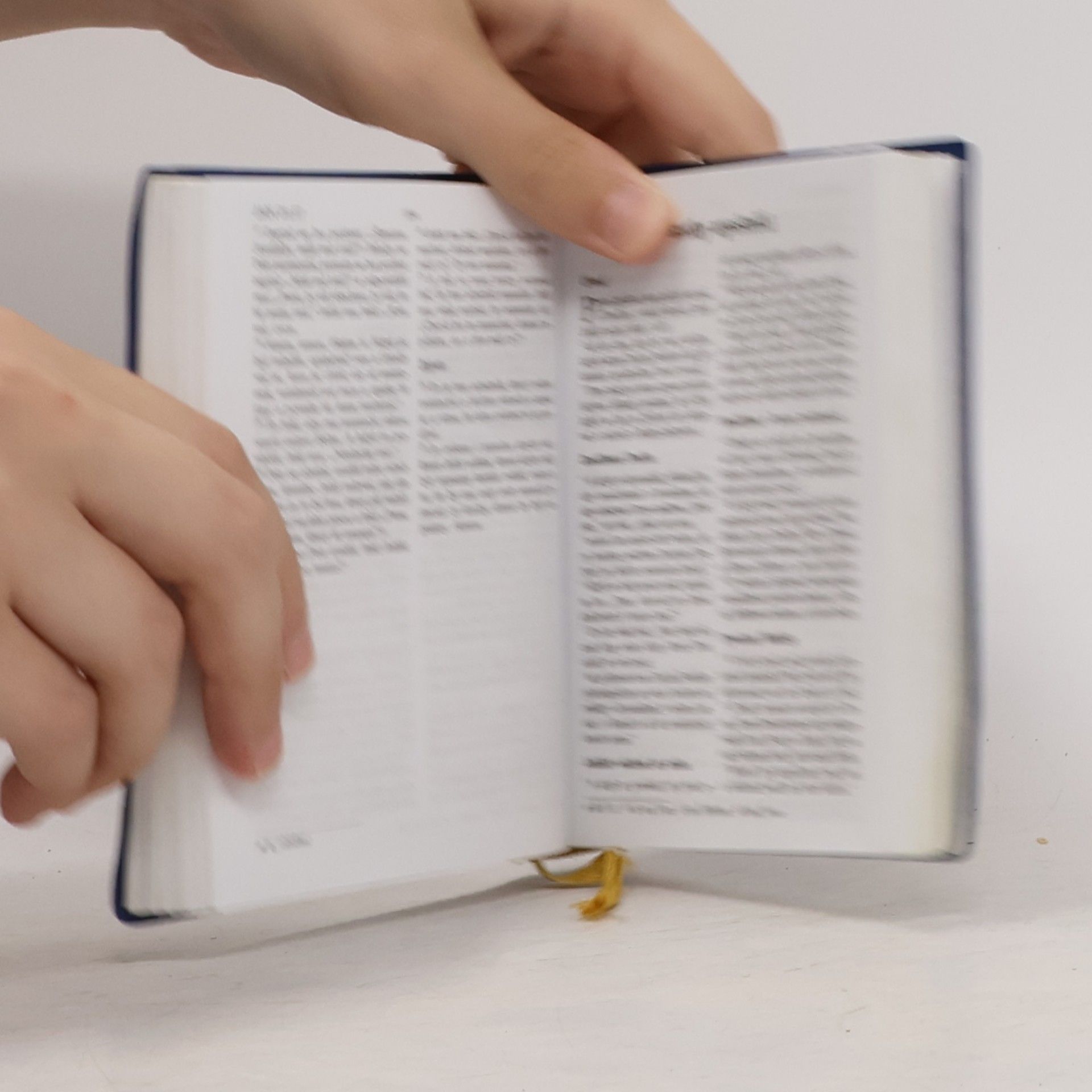 Alexandr Flek Nová Bible kralická - Nový zákon